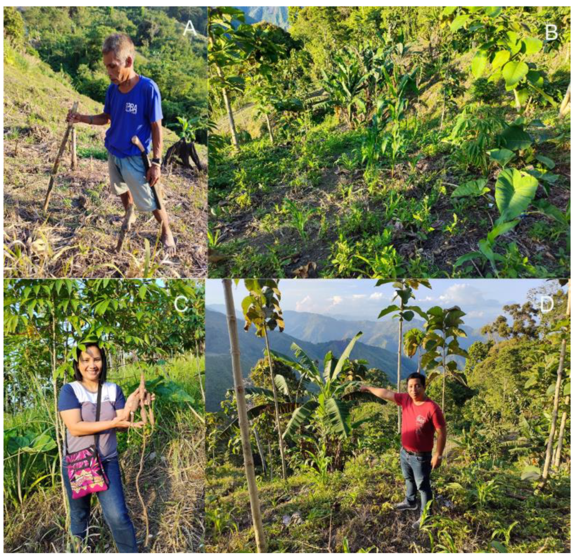 Sustainability 15 11182 g004 Sustainability 15 11182 g004