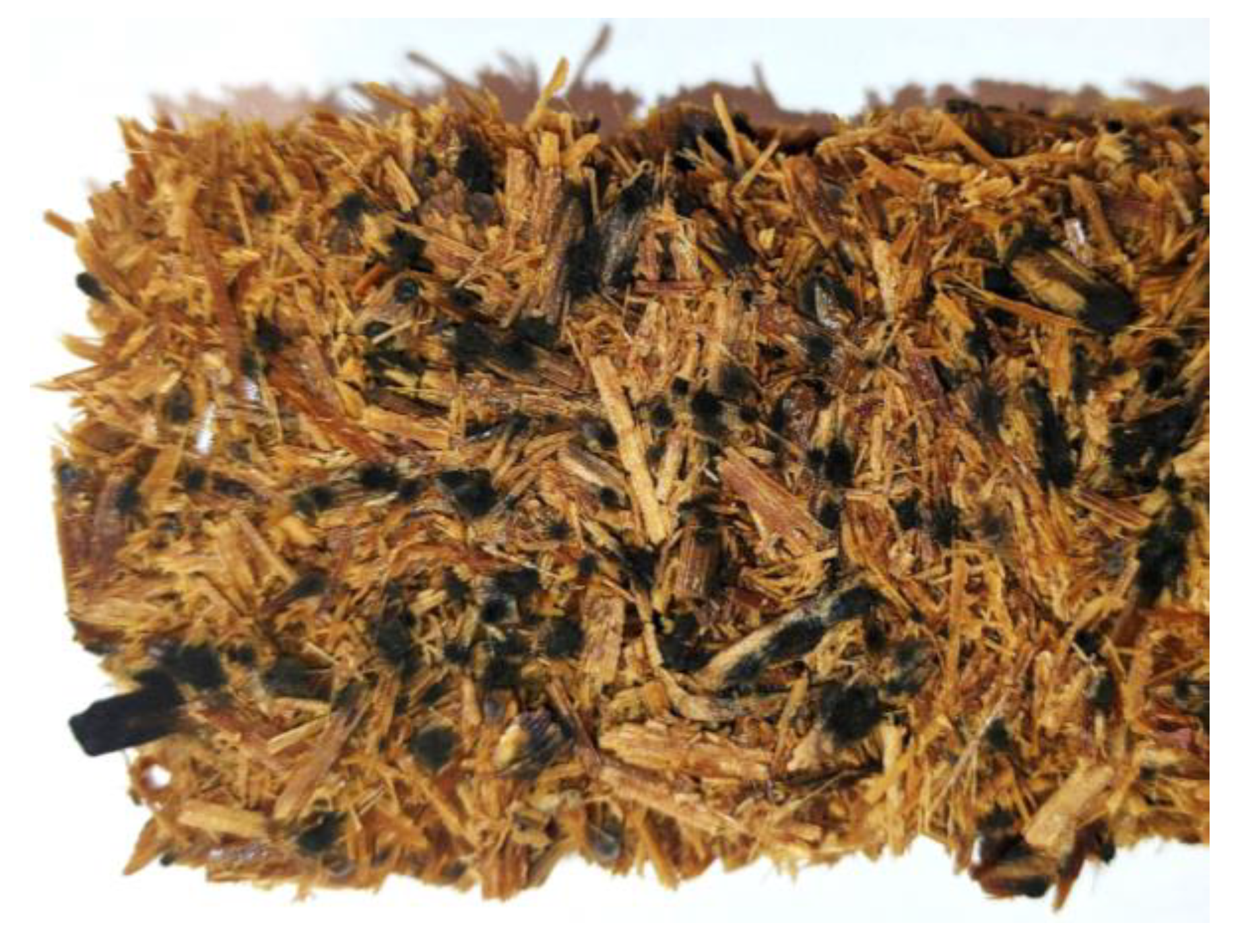 Sustainability 15 11273 g010