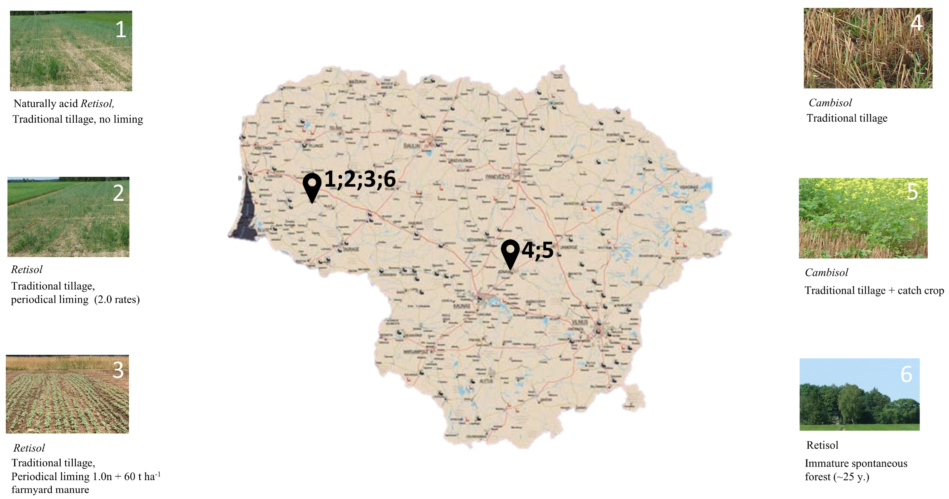 Sustainability 15 11366 g001