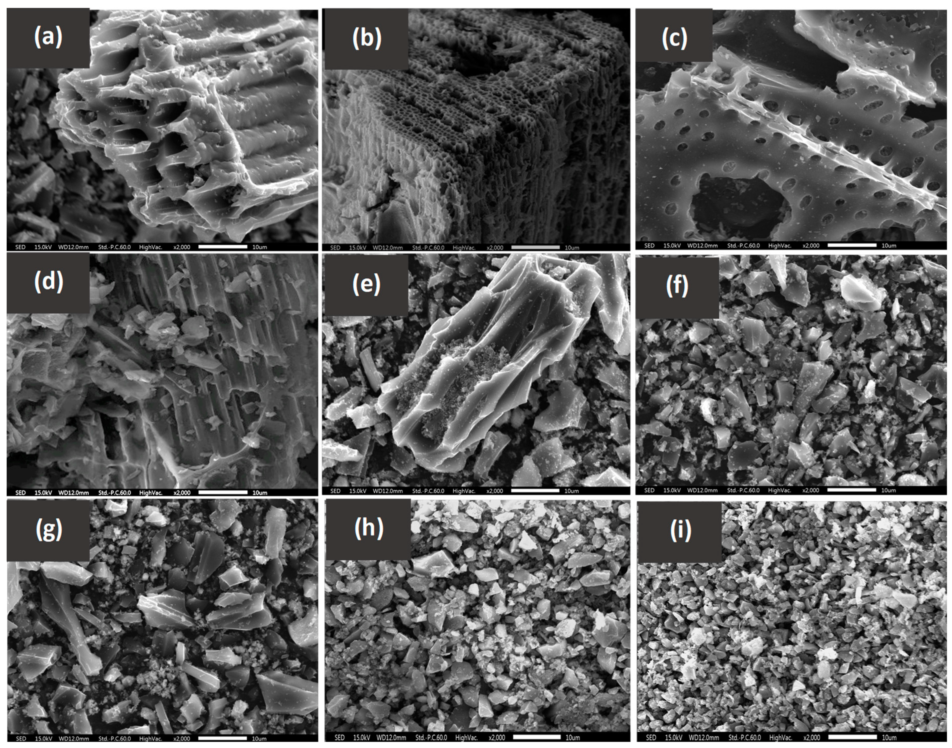 Sustainability 15 11474 g001 Sustainability 15 11474 g001
