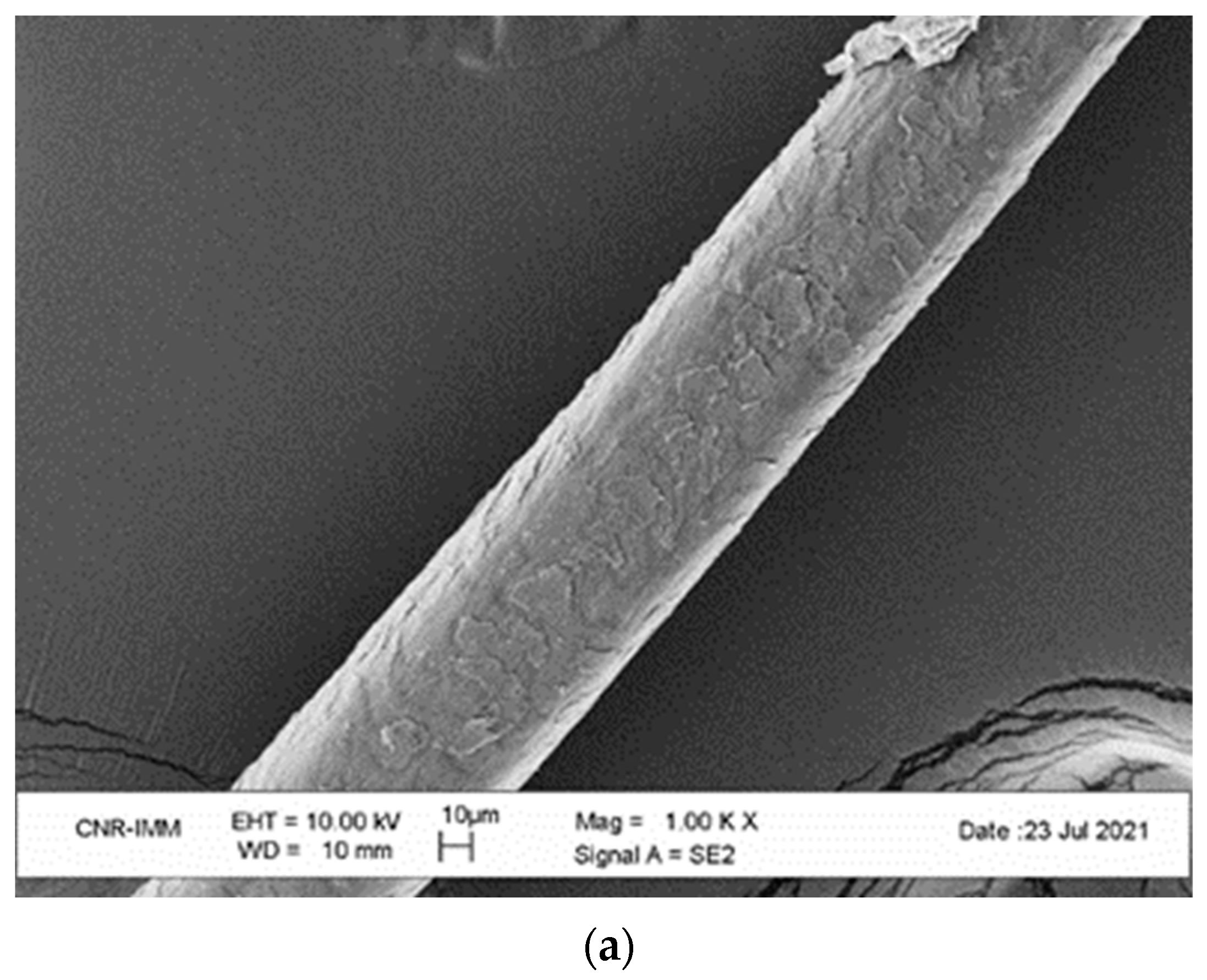 Sustainability 15 11543 g004a