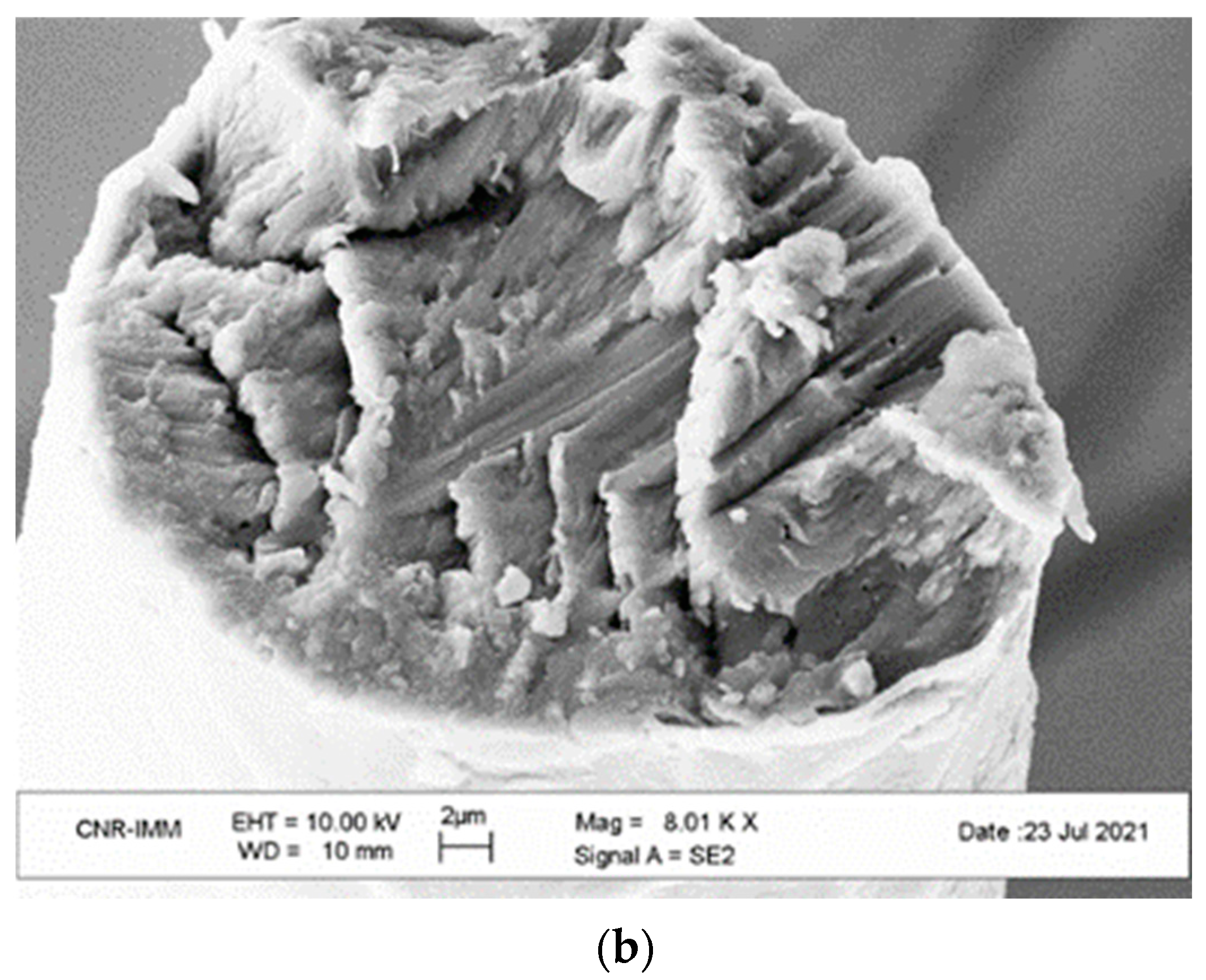 Sustainability 15 11543 g004b