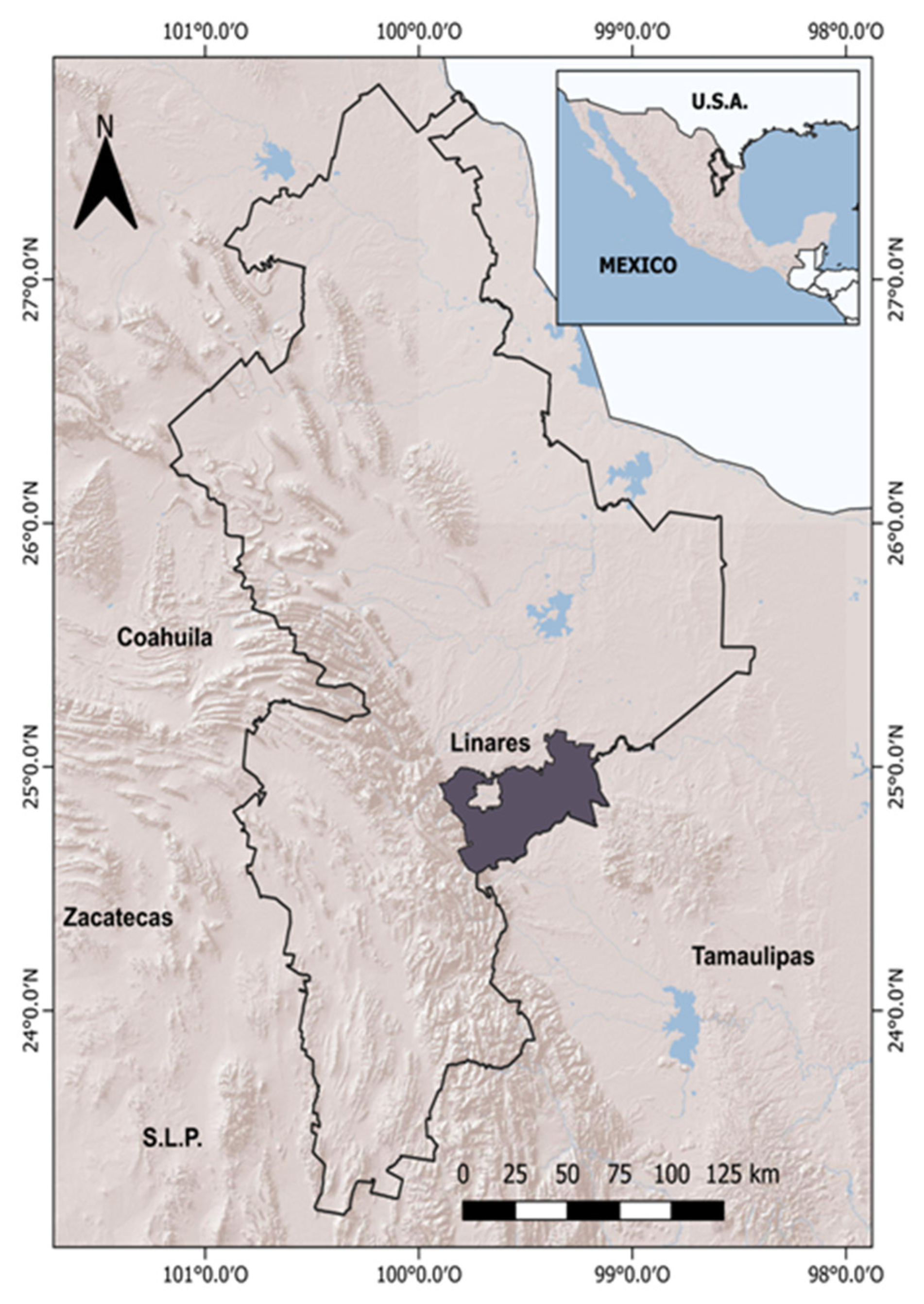 Sustainability | Free Full-Text | Ethnobotany of the Useful Native