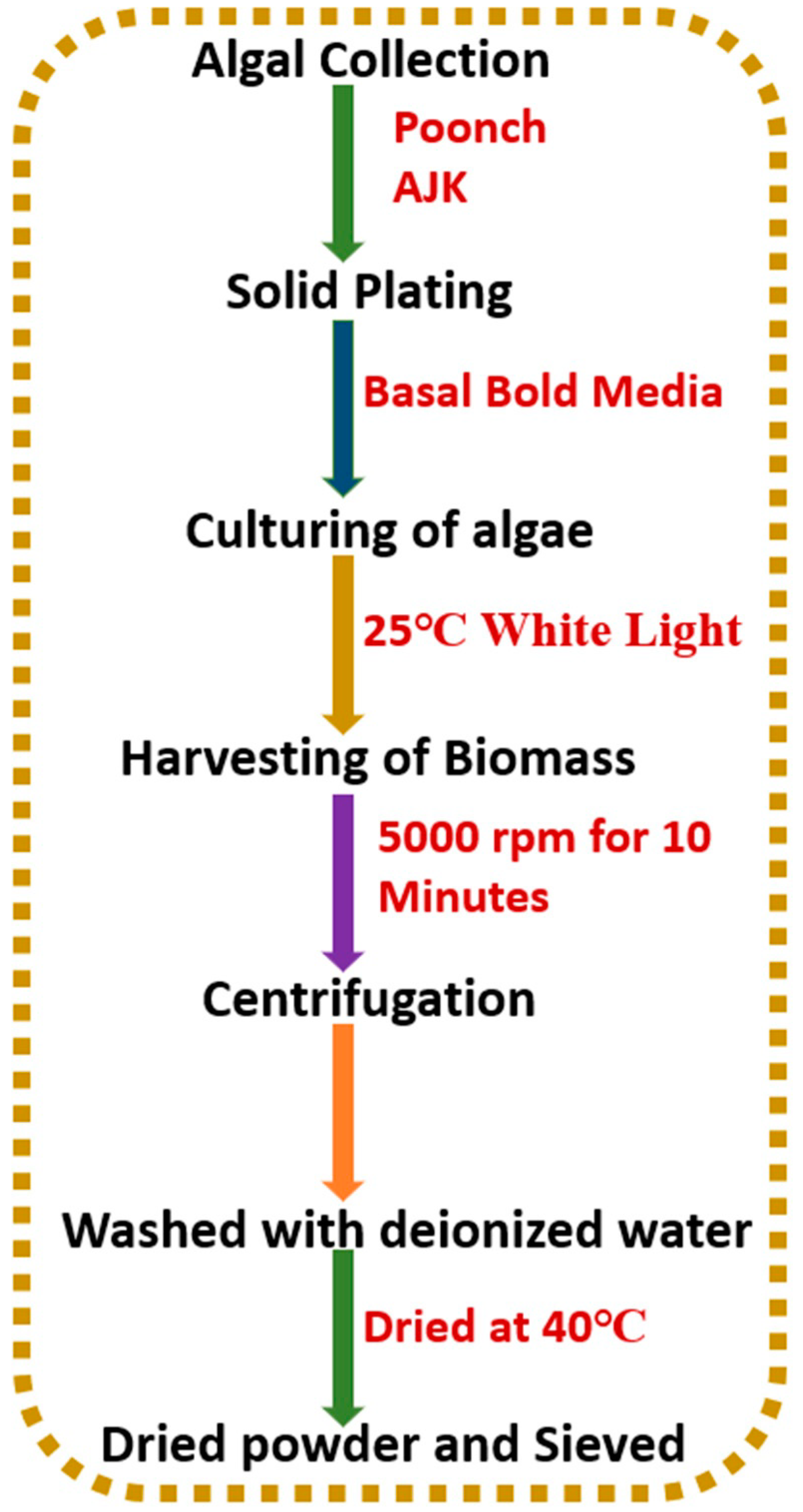 Sustainability 15 11634 g001