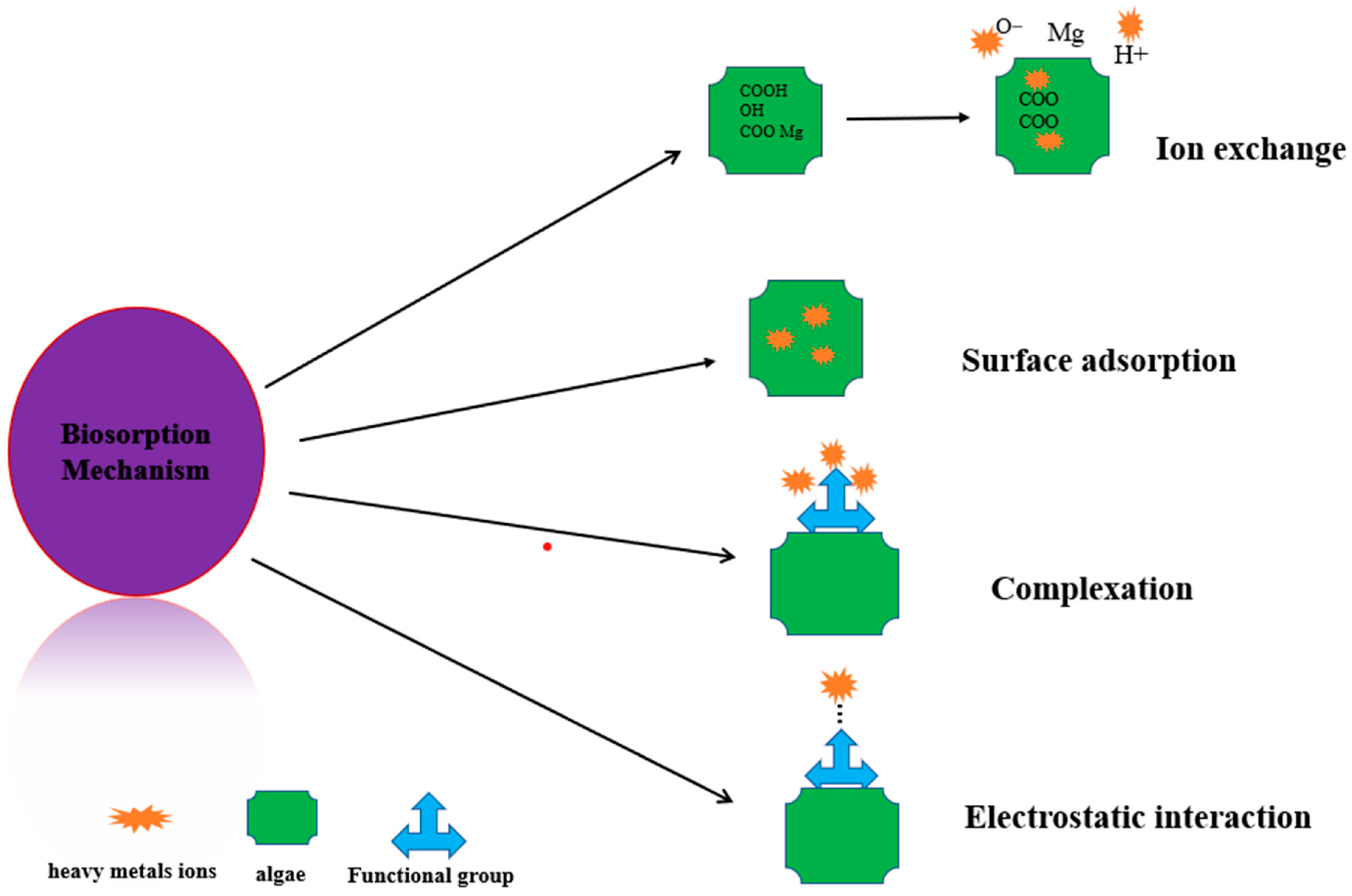 Sustainability 15 11634 g011
