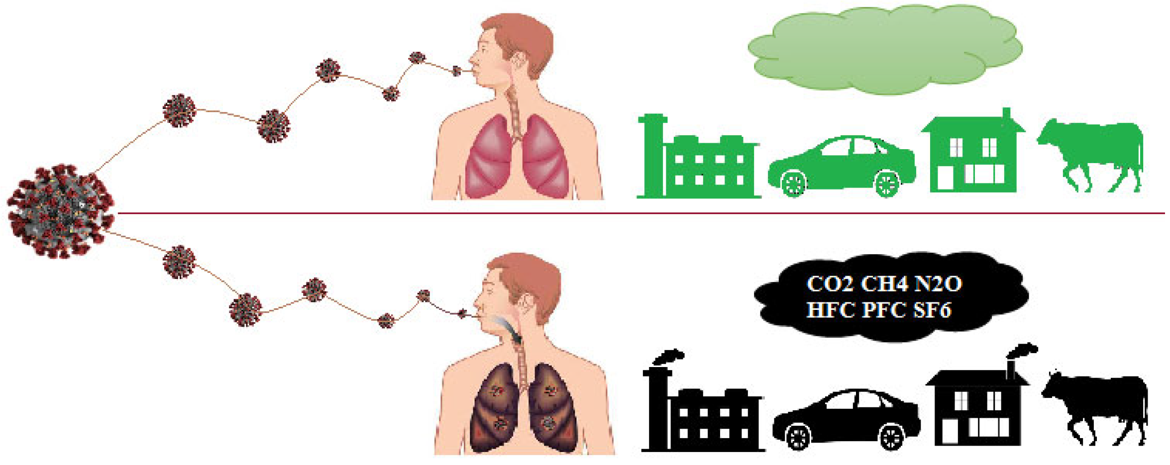 Sustainability 15 11683 g001