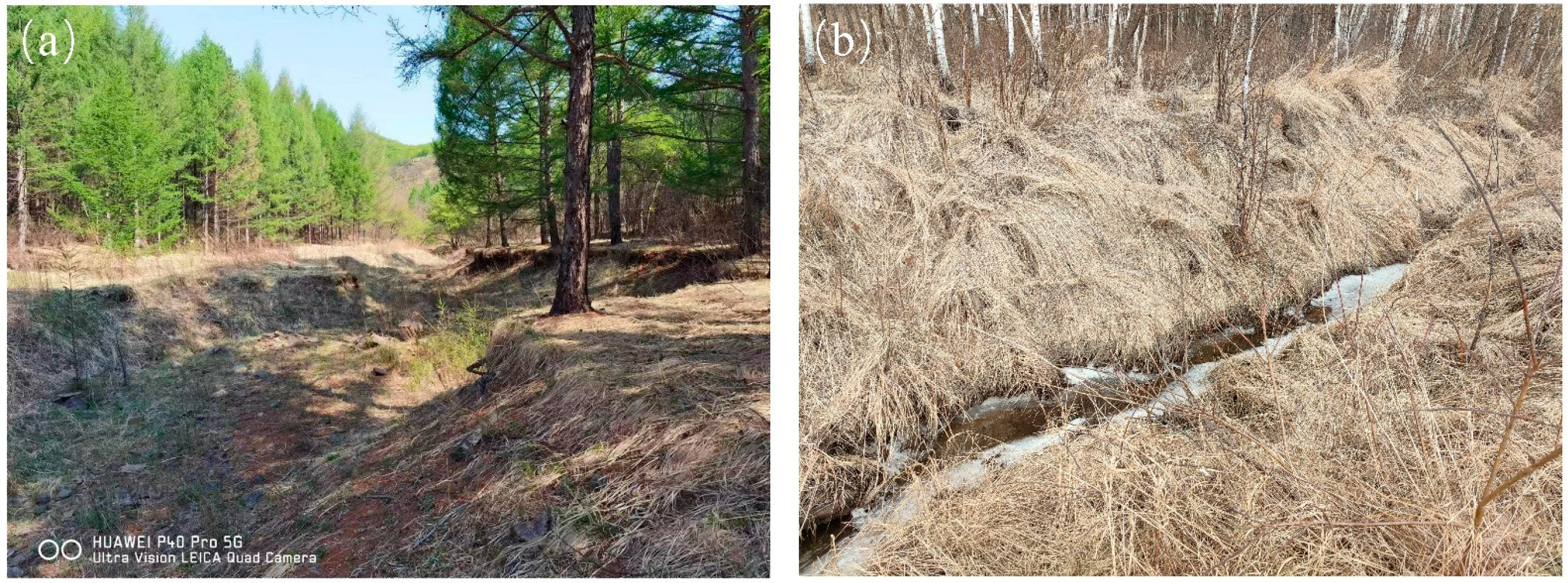 Sustainability 15 12056 g002