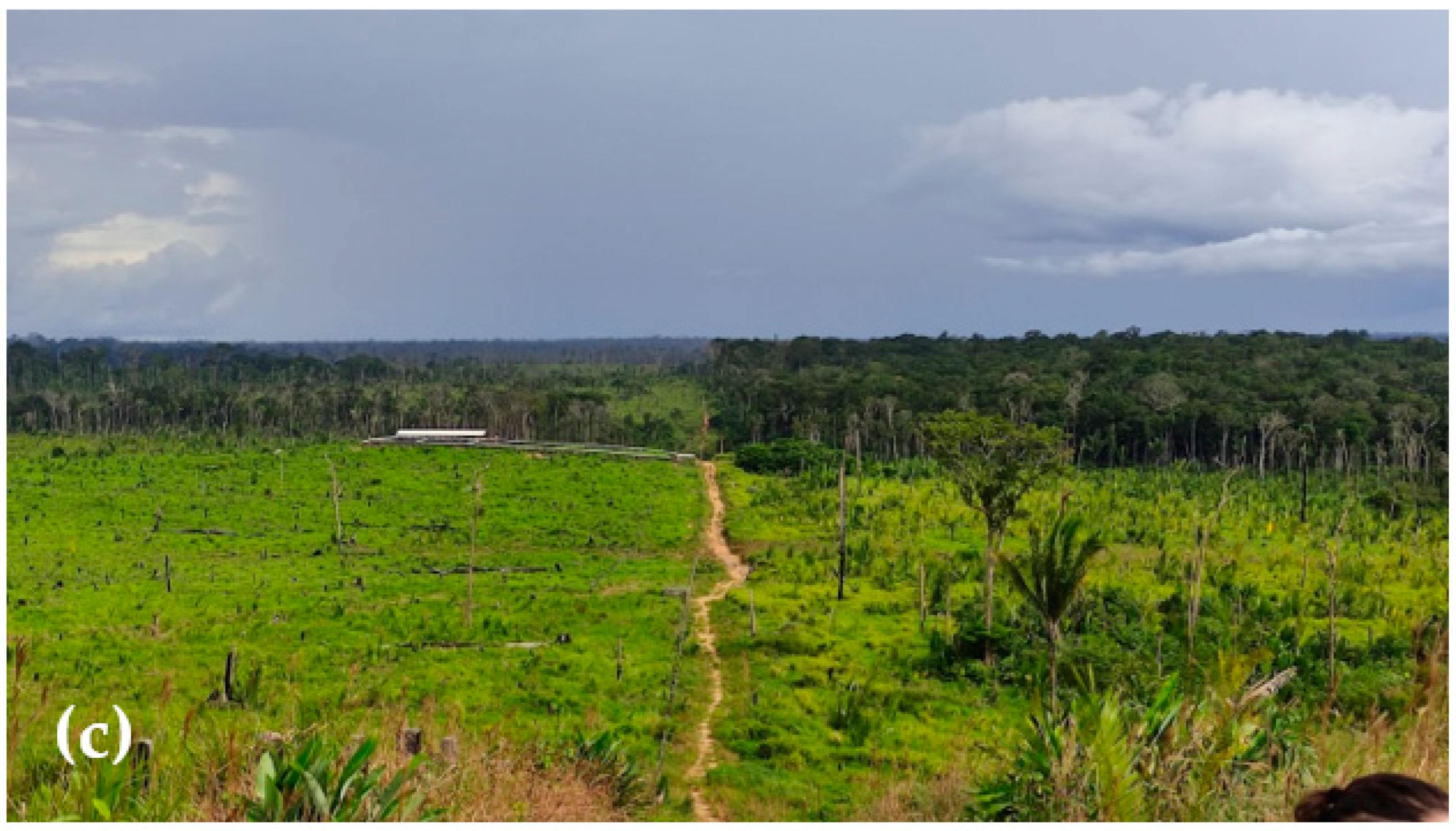 Sustainability 15 12099 g004b