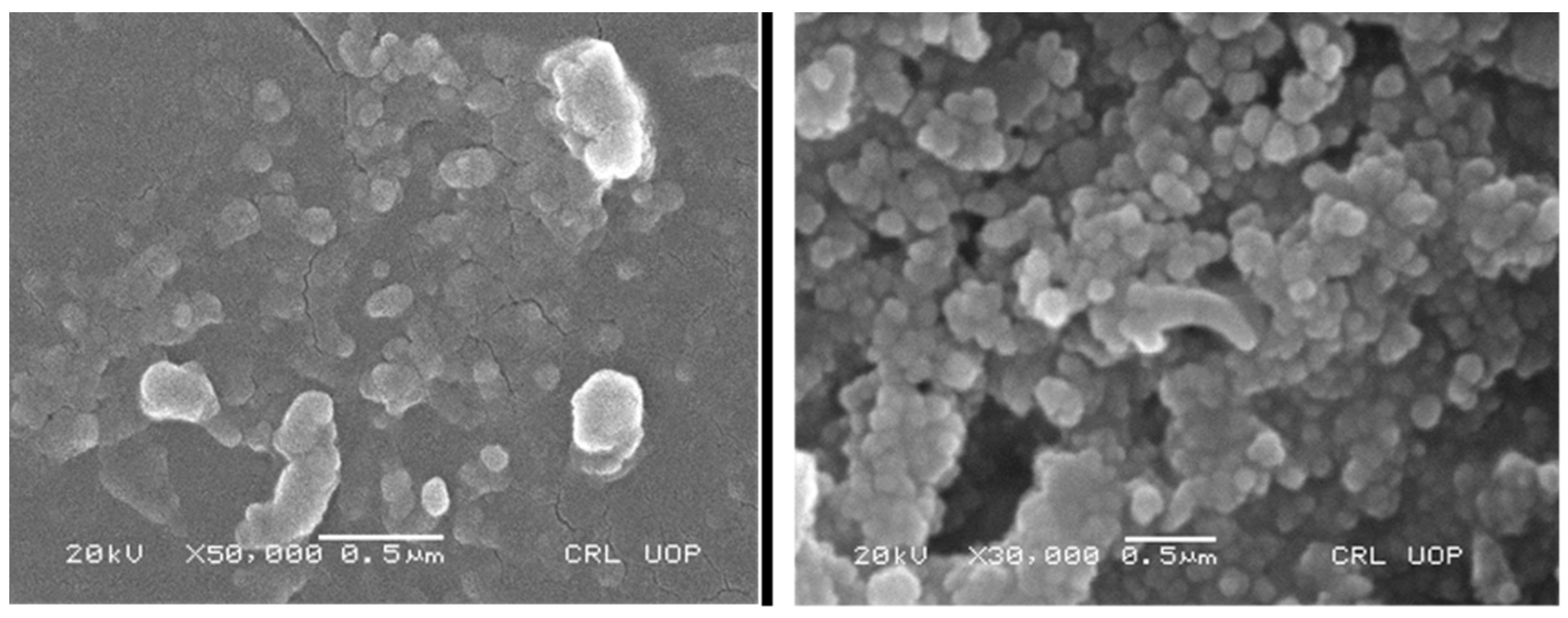 Sustainability 15 12186 g002