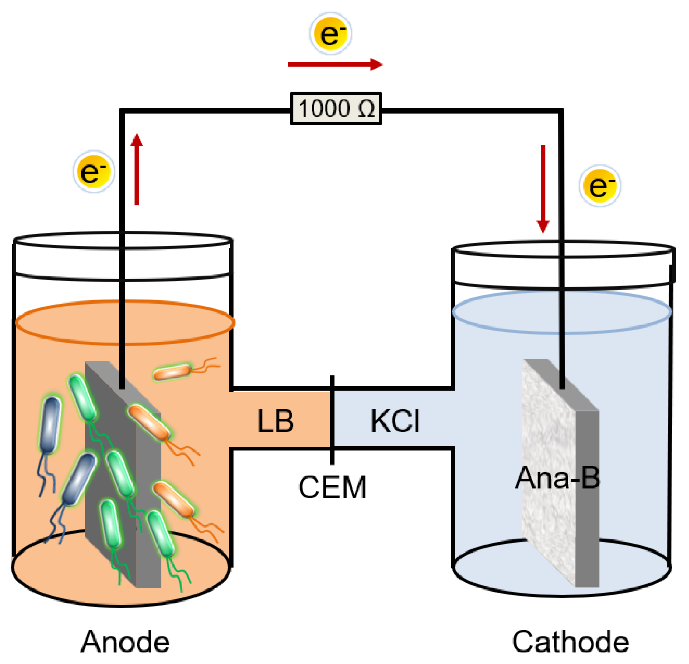 Sustainability 15 12276 g001