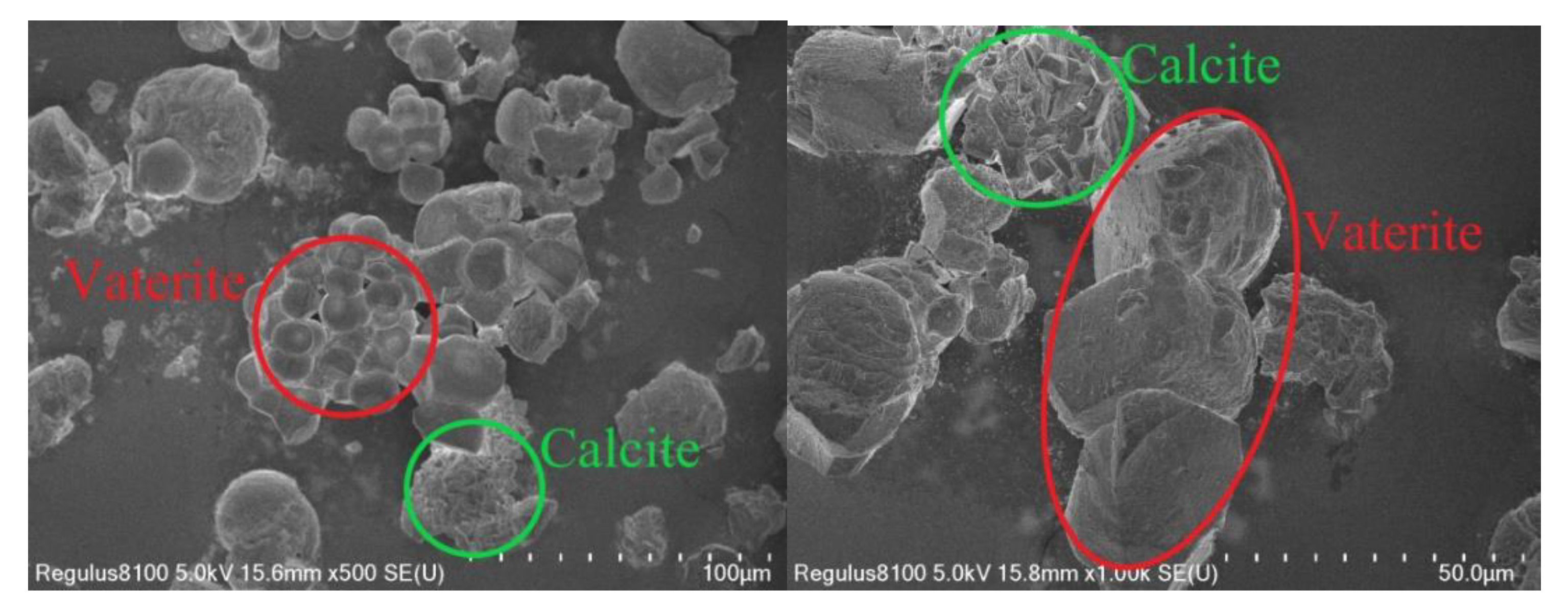 Sustainability 15 12387 g006