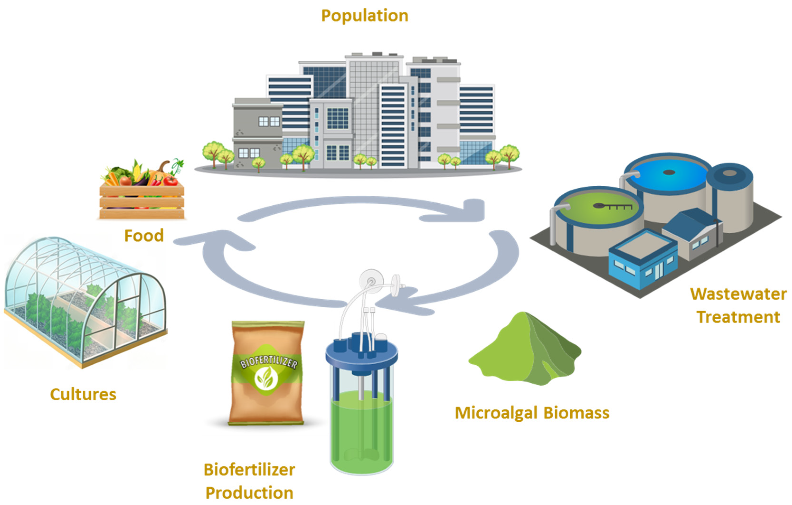 Sustainability 15 12413 g002 Sustainability 15 12413 g002