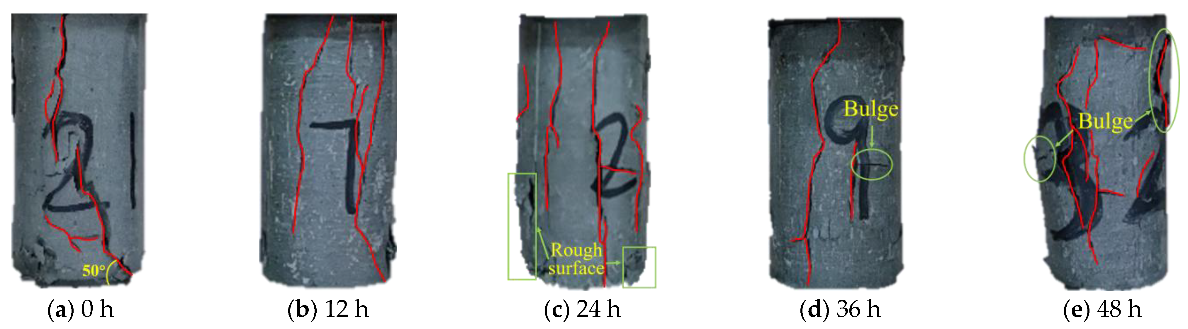 Sustainability 15 12499 g010