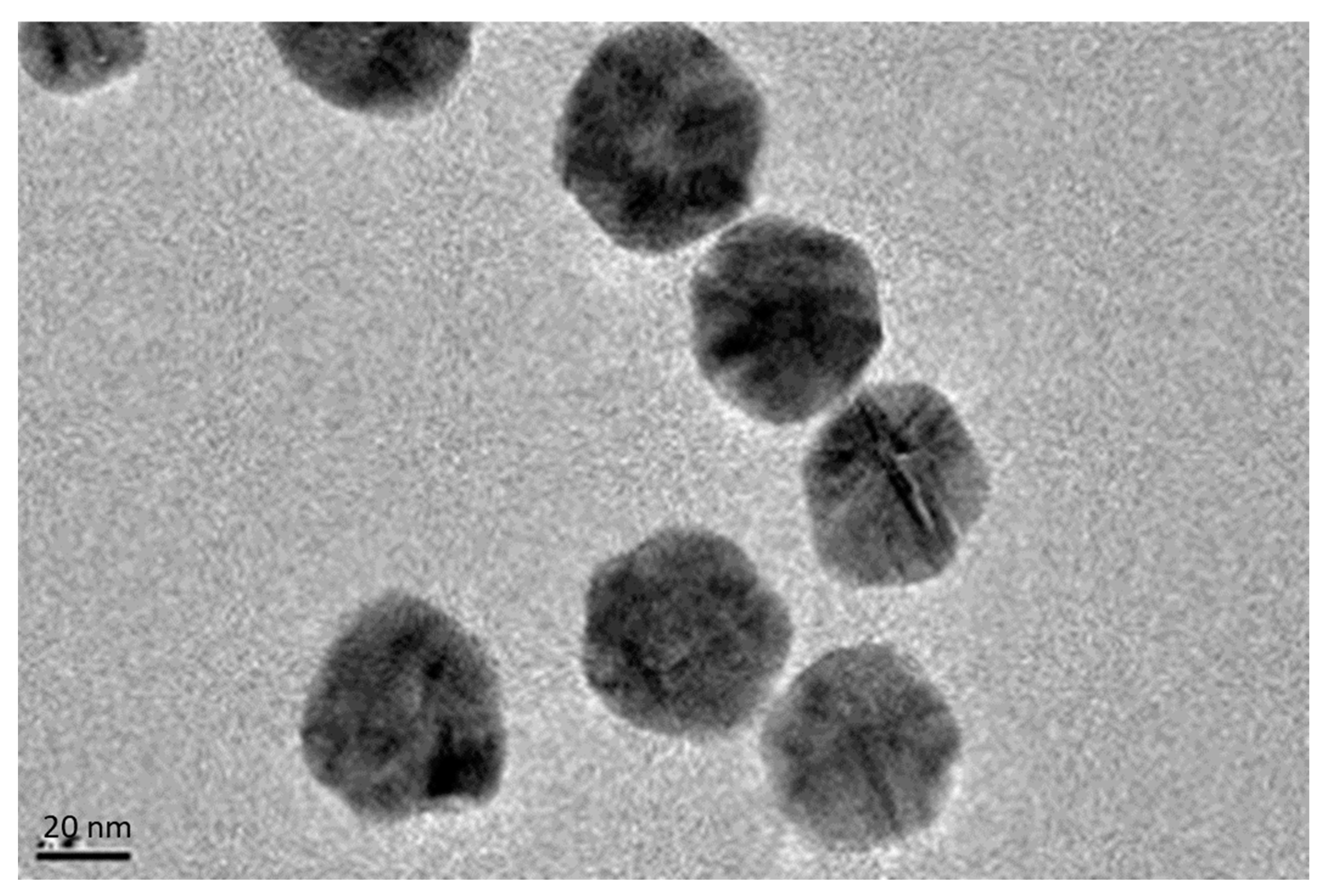 Sustainability 15 12538 g004