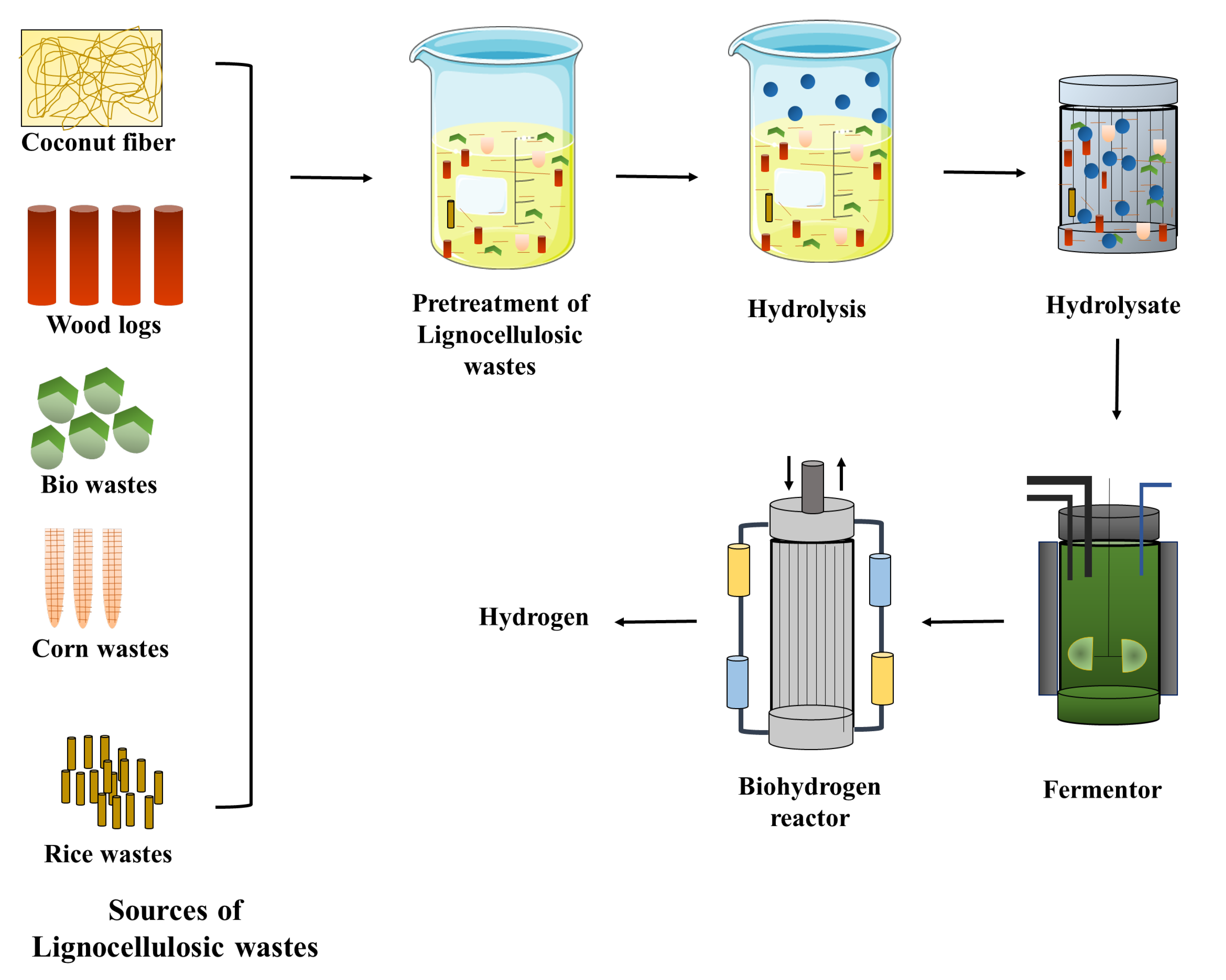 Sustainability | Free Full-Text | A Review on Biohydrogen Sources ...