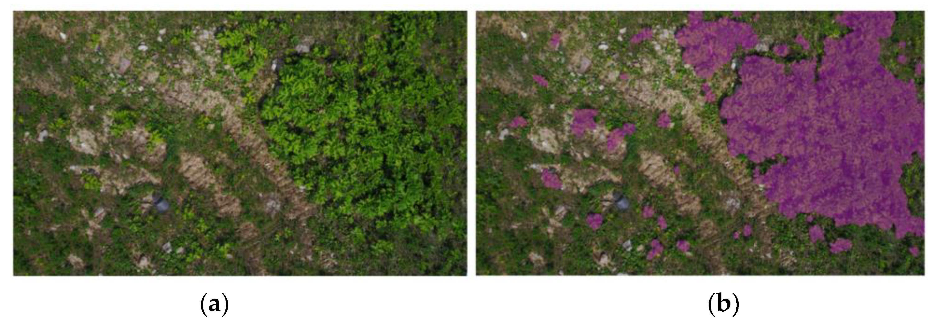 Sustainability 15 12731 g003