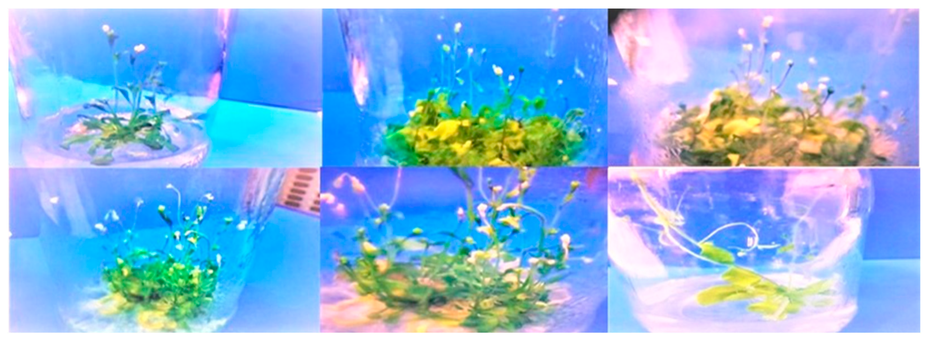 Sustainability 15 12783 g003