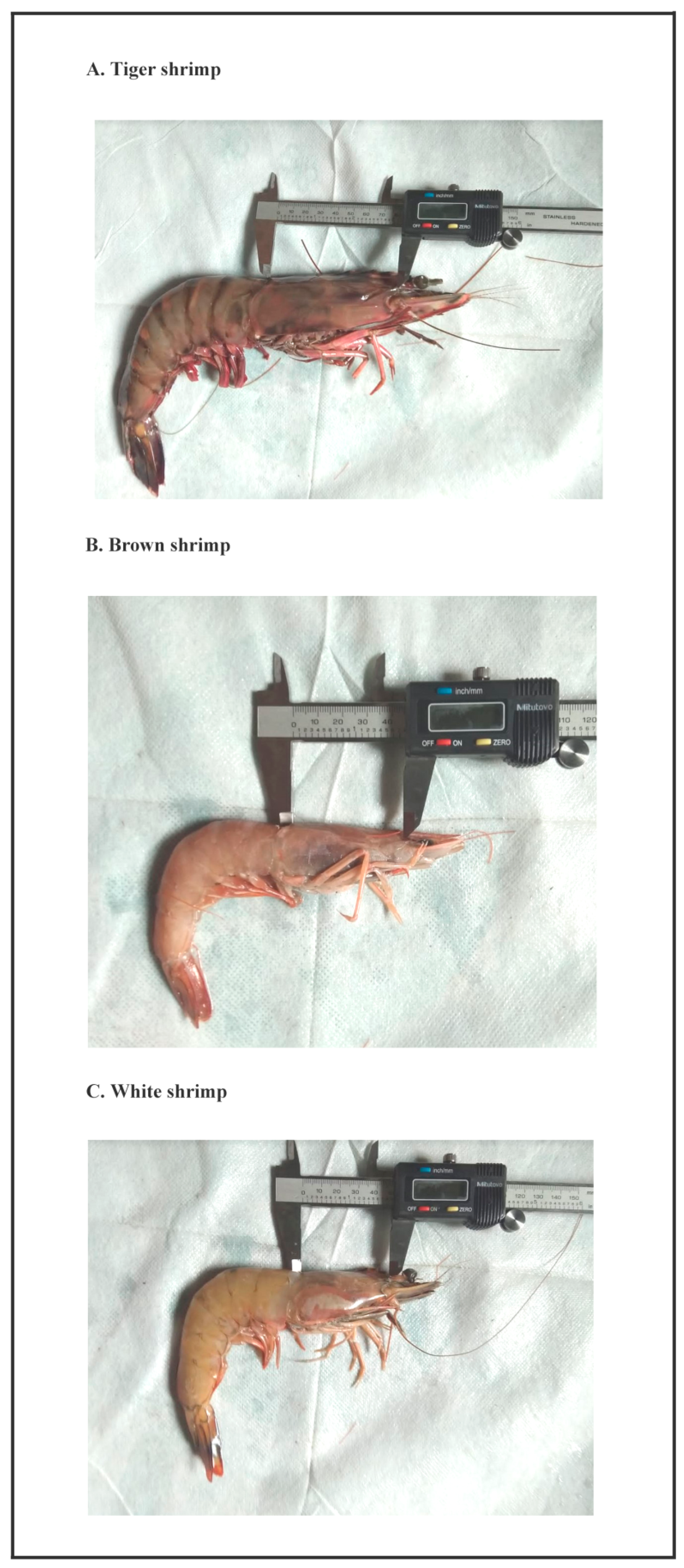 Sustainability 15 12835 g002