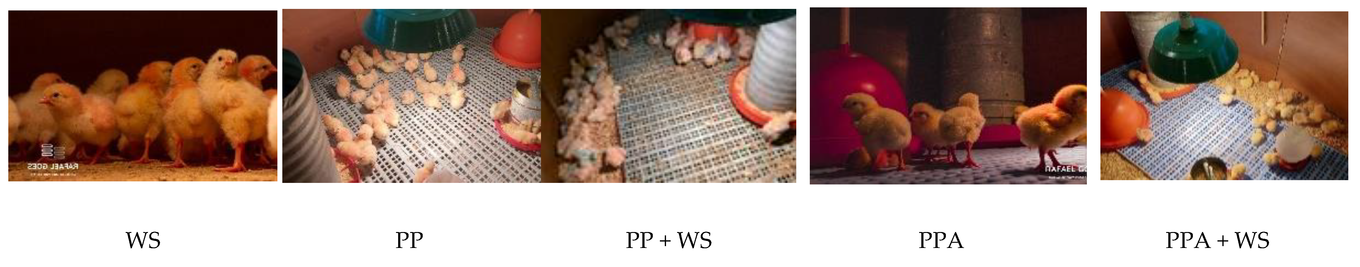 Sustainability 15 12896 g001