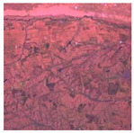 Sustainability 15 12931 i001