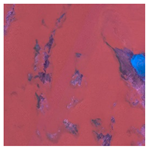 Sustainability 15 12931 i002