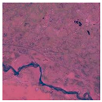 Sustainability 15 12931 i013