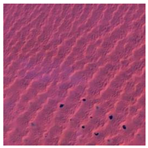 Sustainability 15 12931 i022