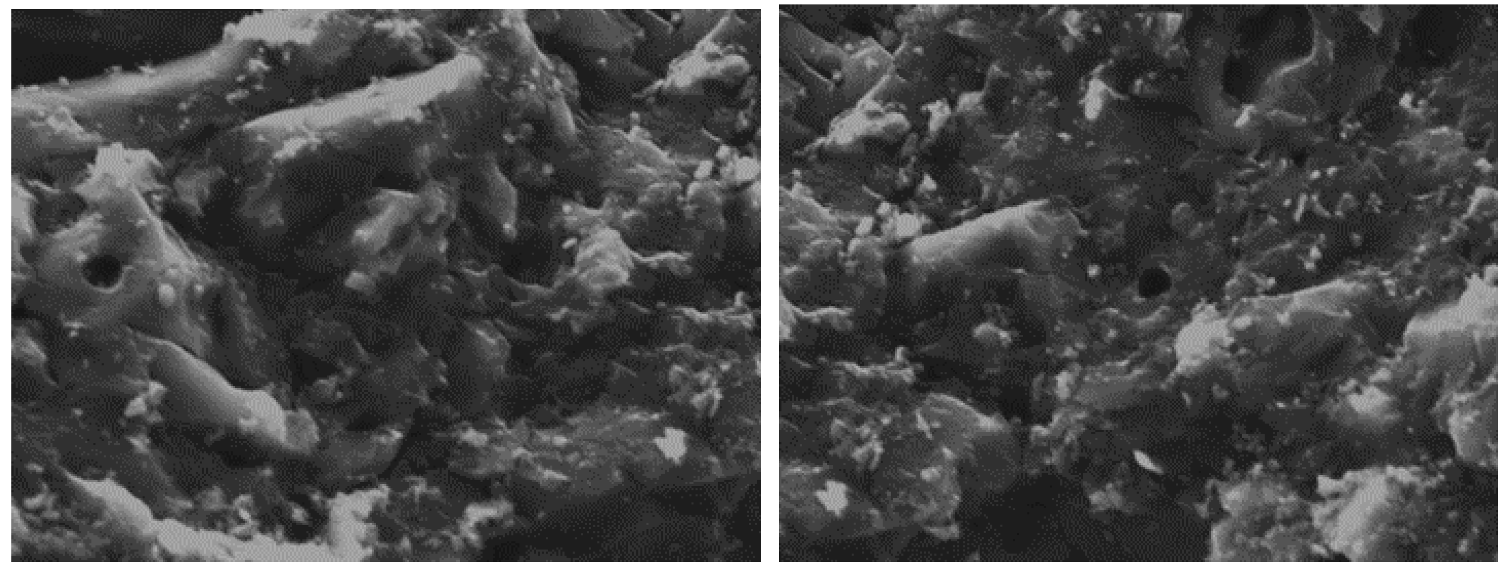 Sustainability 15 12939 g002