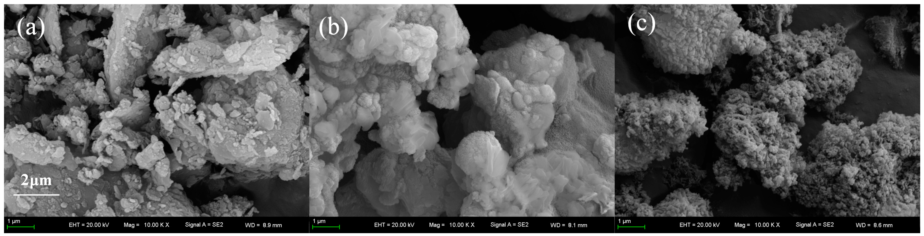 Sustainability 15 13515 g002