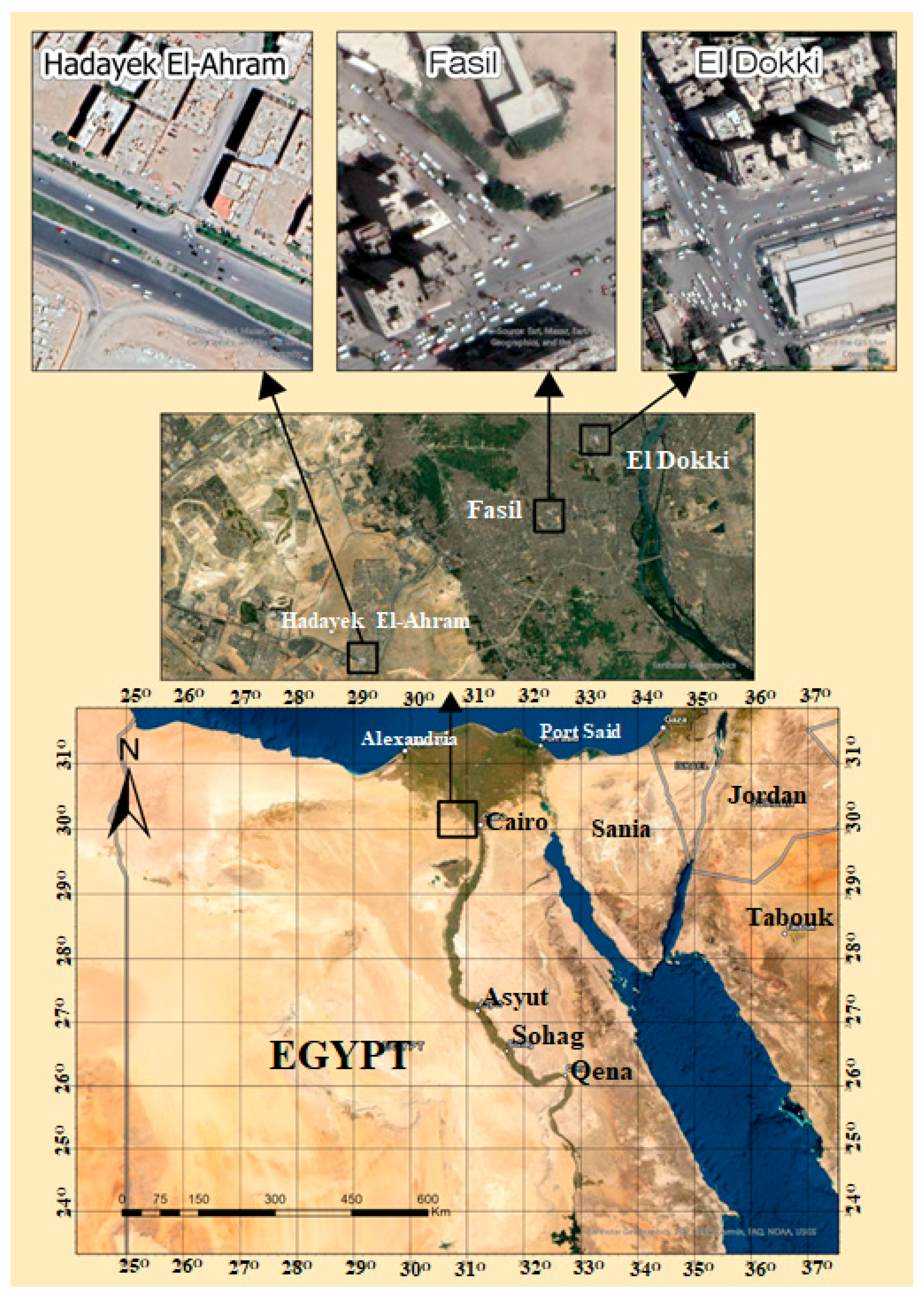 Sustainability | Free Full-Text | Assessment of Stormwater Quality in the  Context of Traffic Congestion: A Case Study in Egypt