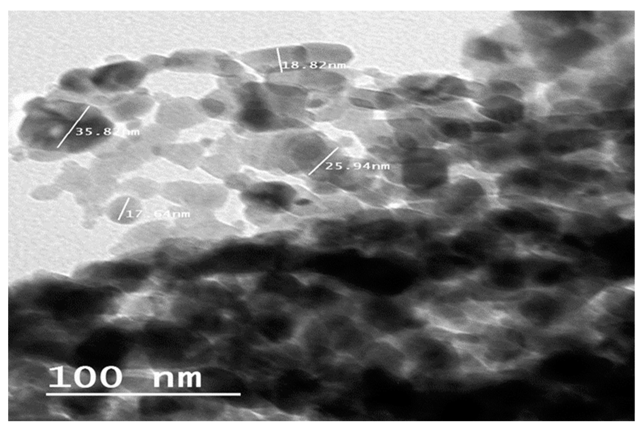 Sustainability 15 13992 g003