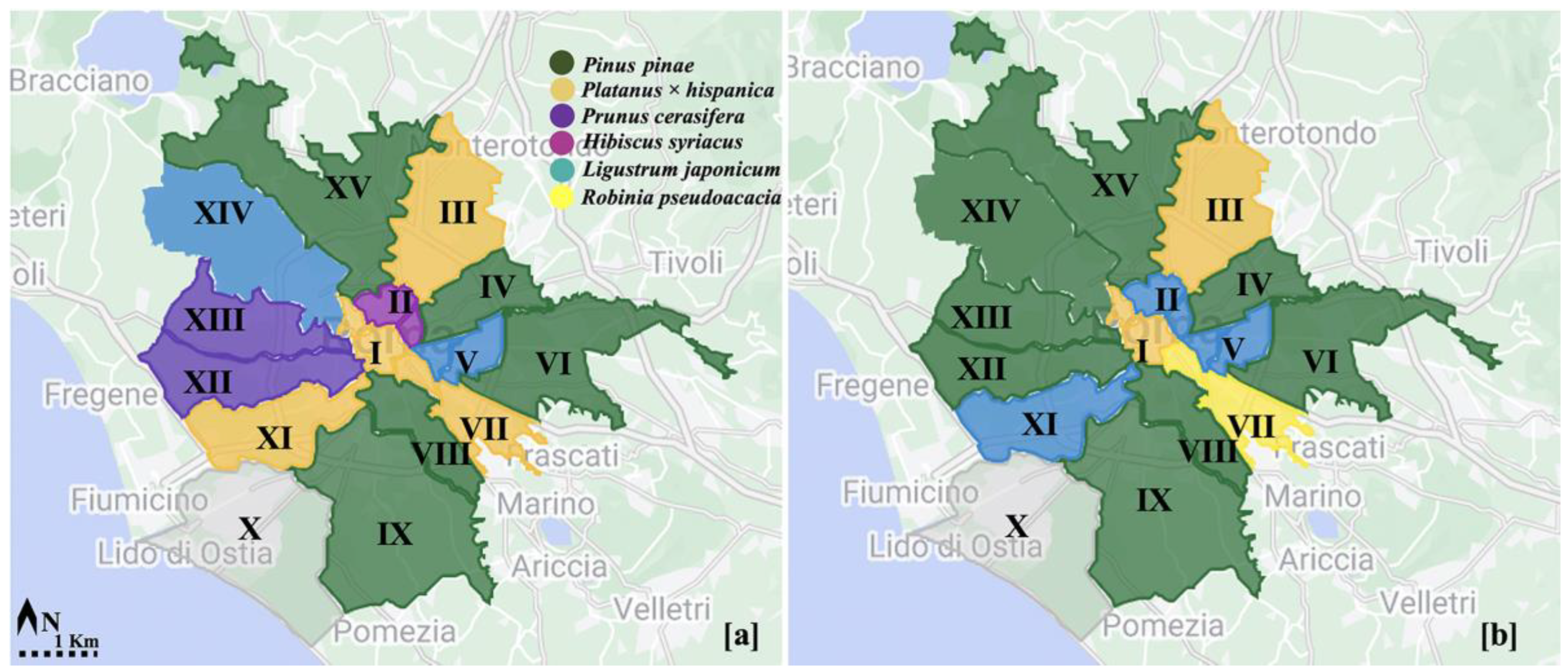 Sustainability | Free Full-Text | Distribution Pattern of Urban Street  Trees in Rome (Italy): A Multifactorial Evaluation of Selection Criteria