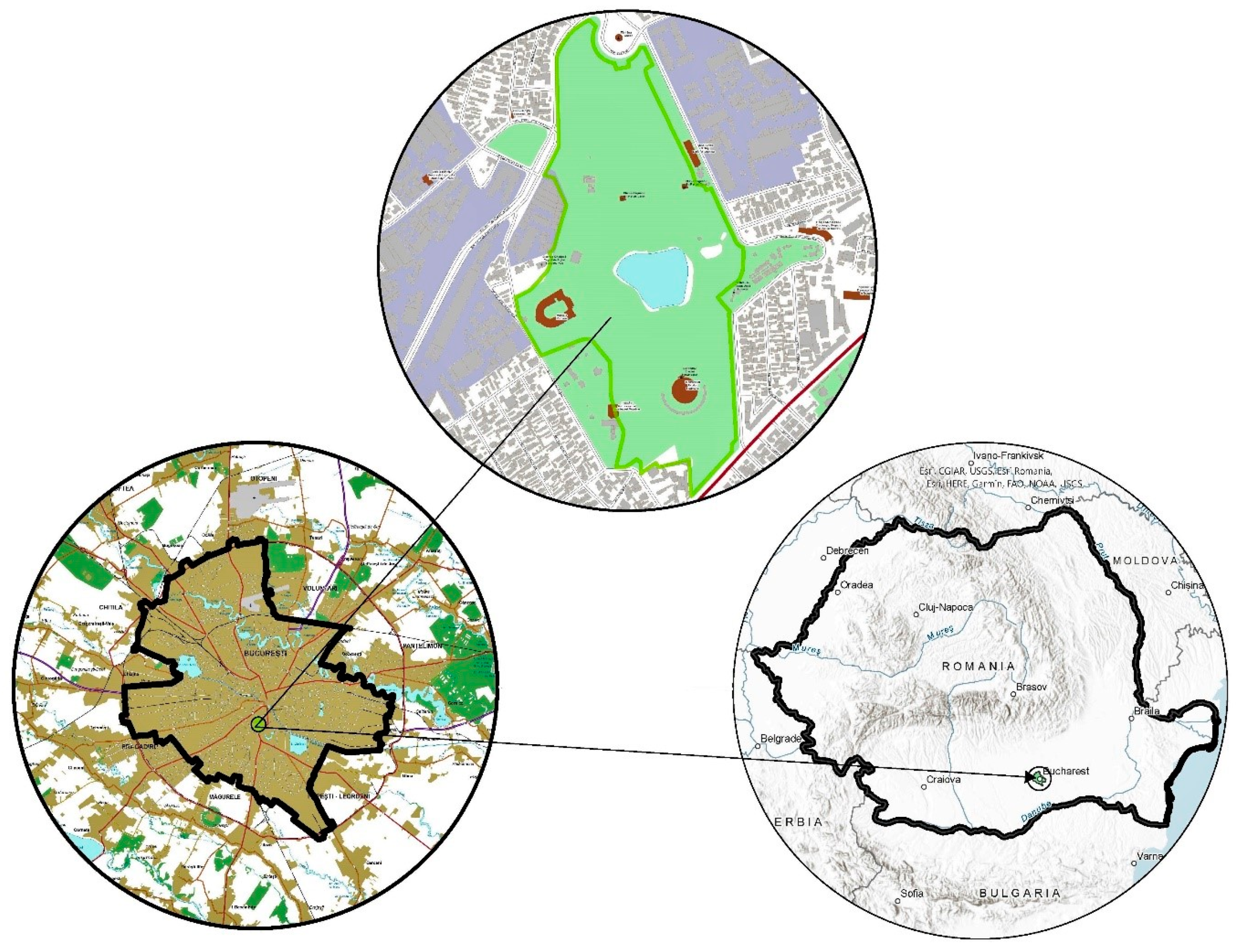 Sustainability | Free Full-Text | Sustainable Management Decisions for  Urban Historical Parks: A Case Study Based on Online Referential Values of  Carol I Park in Bucharest, Romania