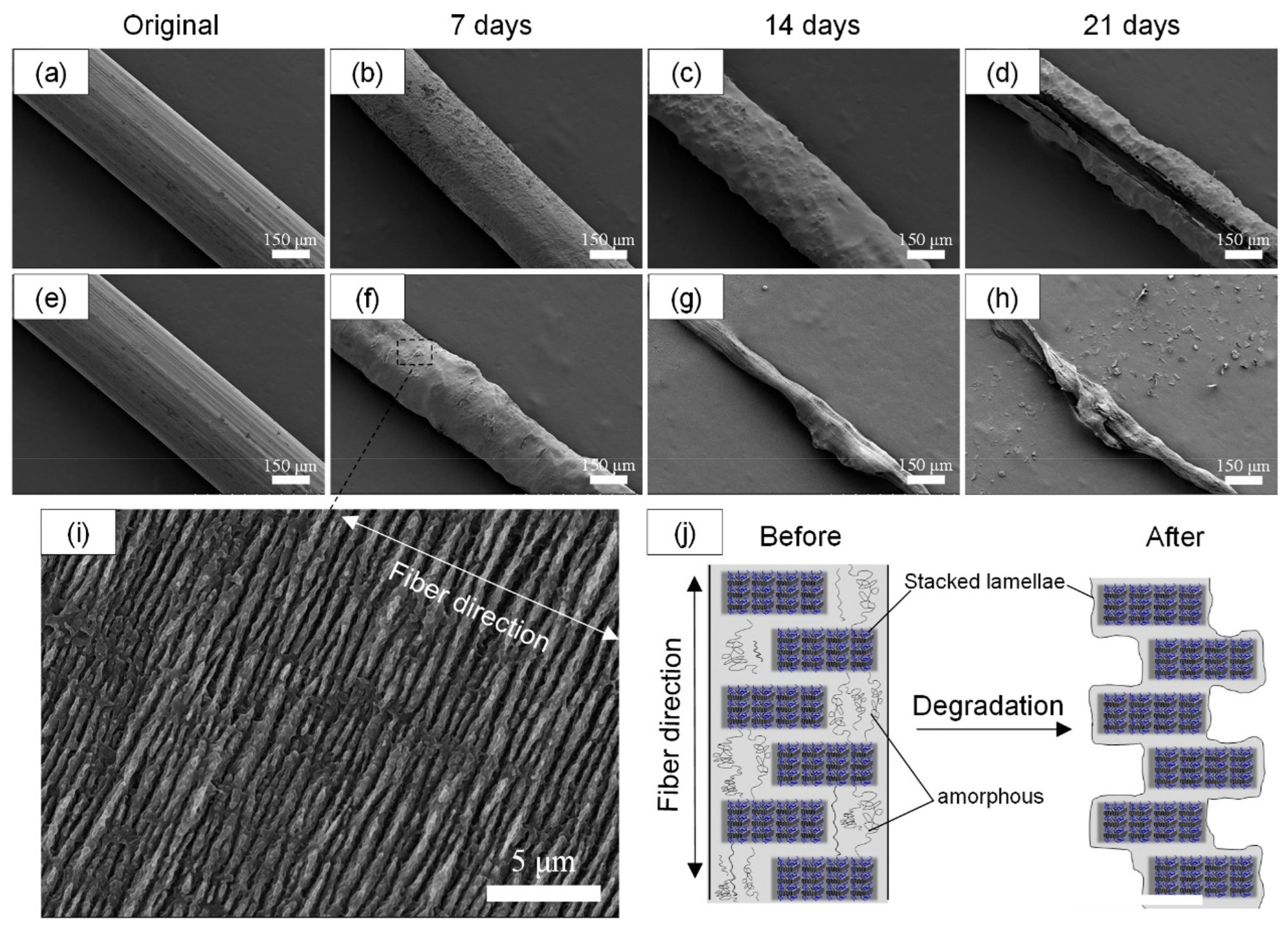 Sustainability 15 14474 g005 Sustainability 15 14474 g005
