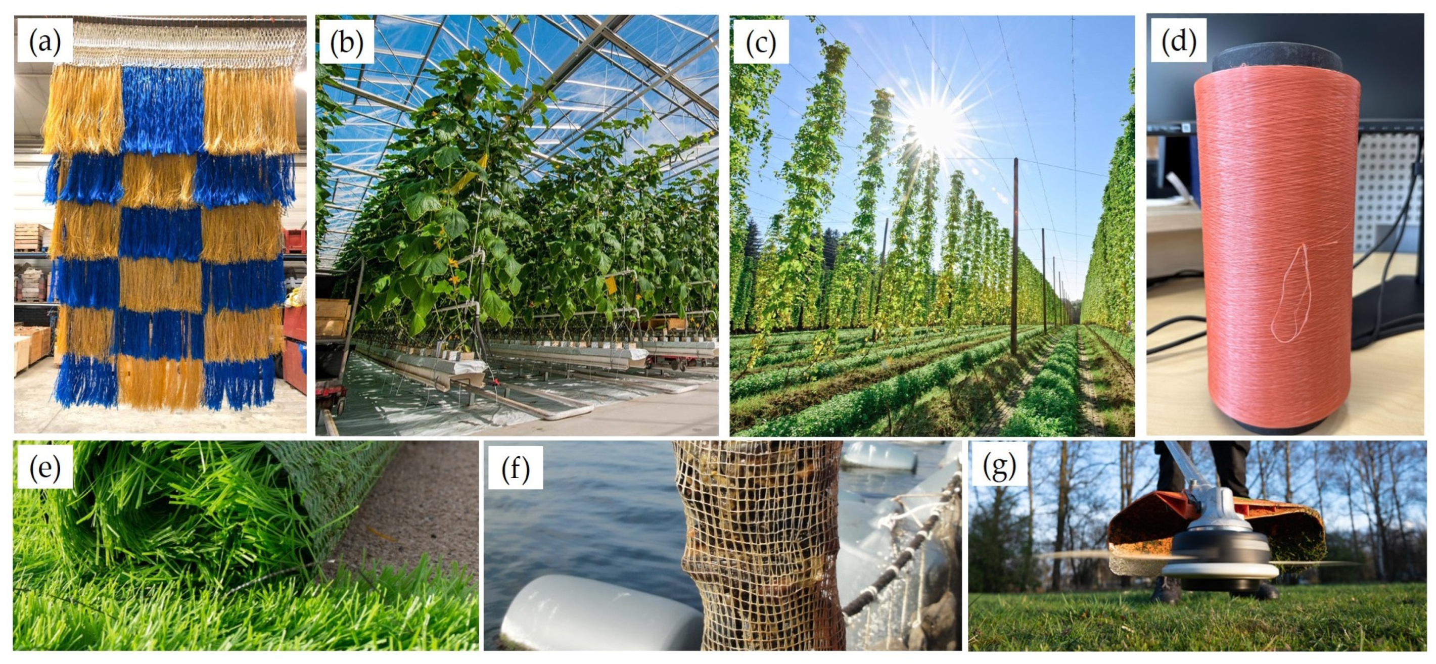 Sustainability 15 14474 g010 Sustainability 15 14474 g010