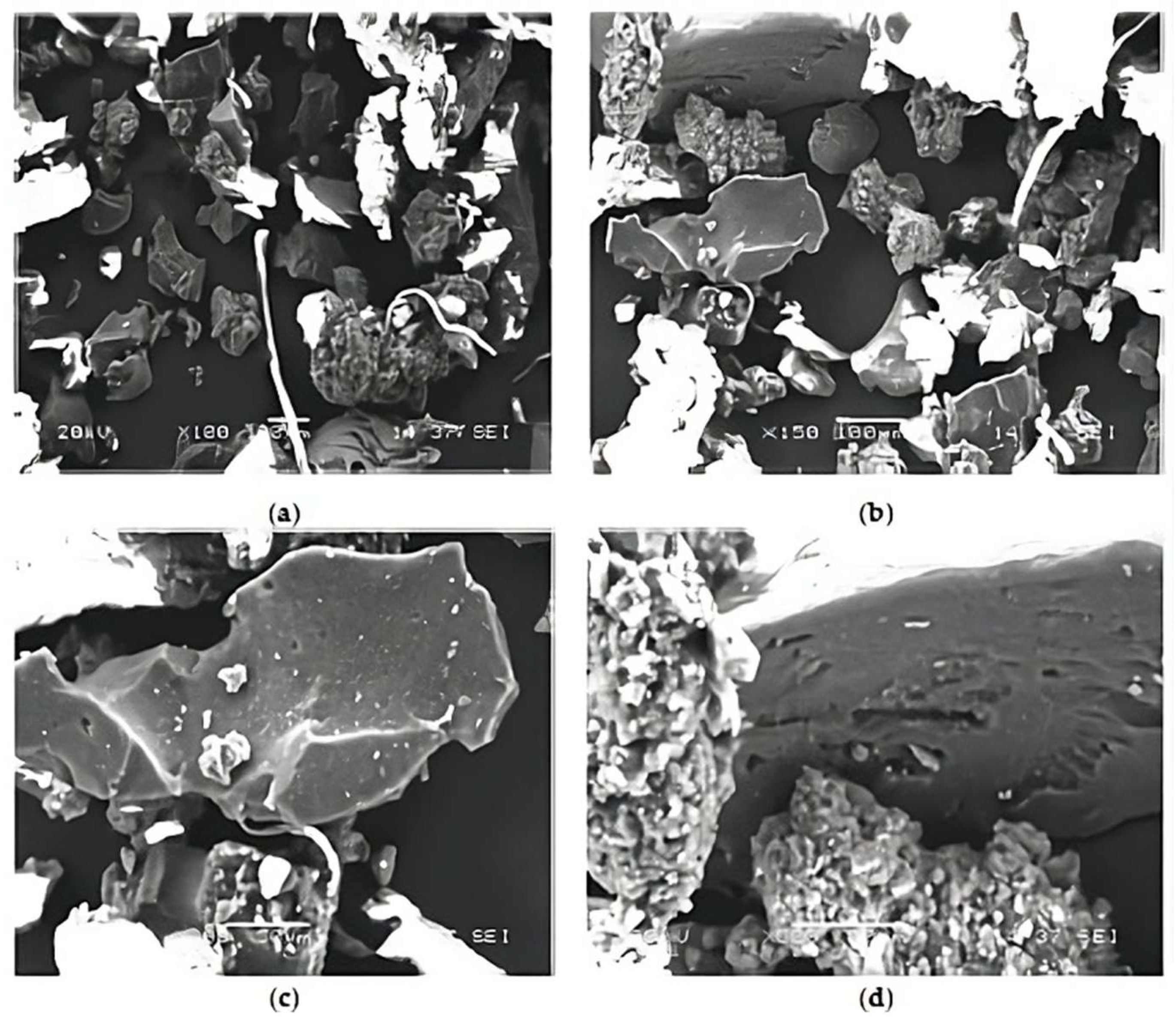 Sustainability 15 14481 g003