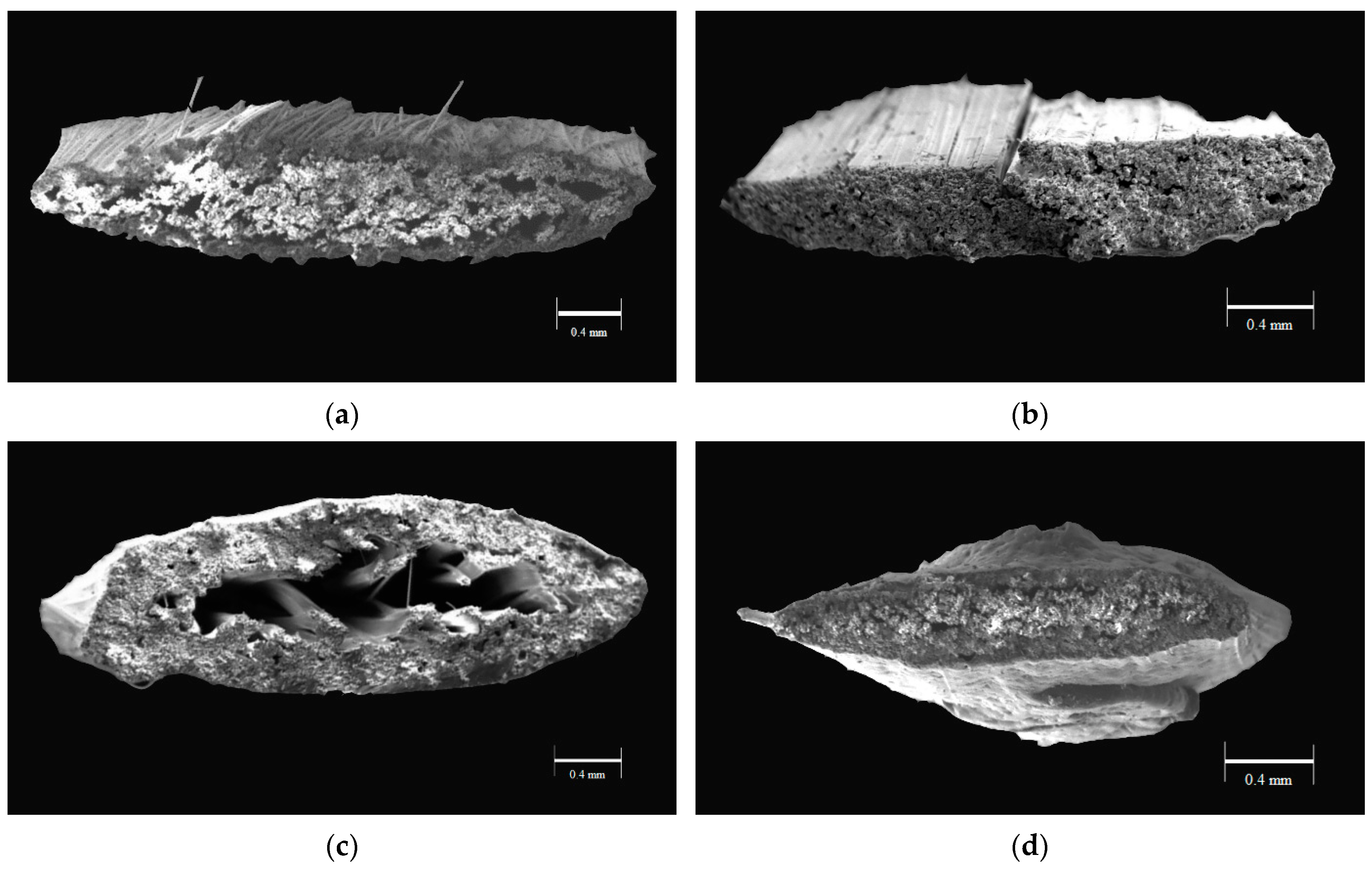 Sustainability 15 14502 g008