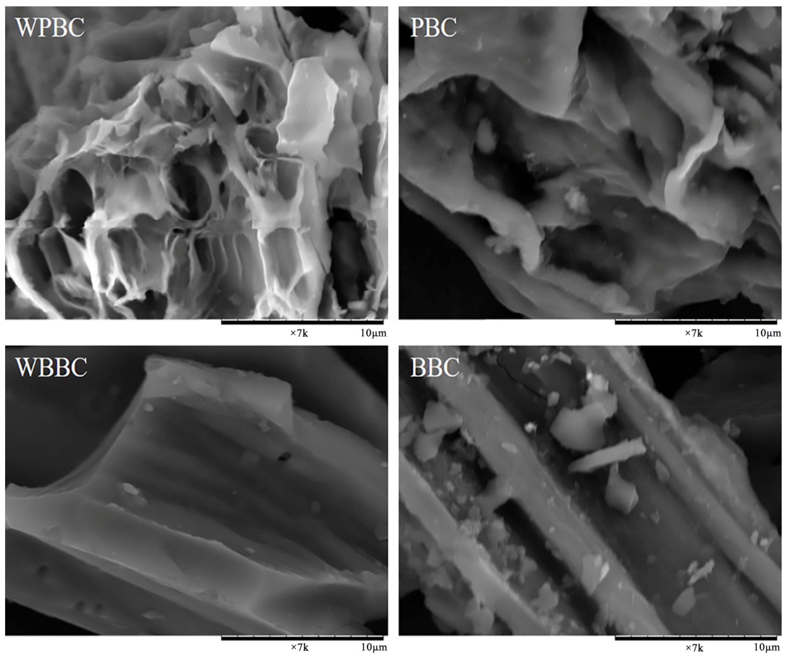 Sustainability | Free Full-Text | Adsorption of Pyraclostrobin in