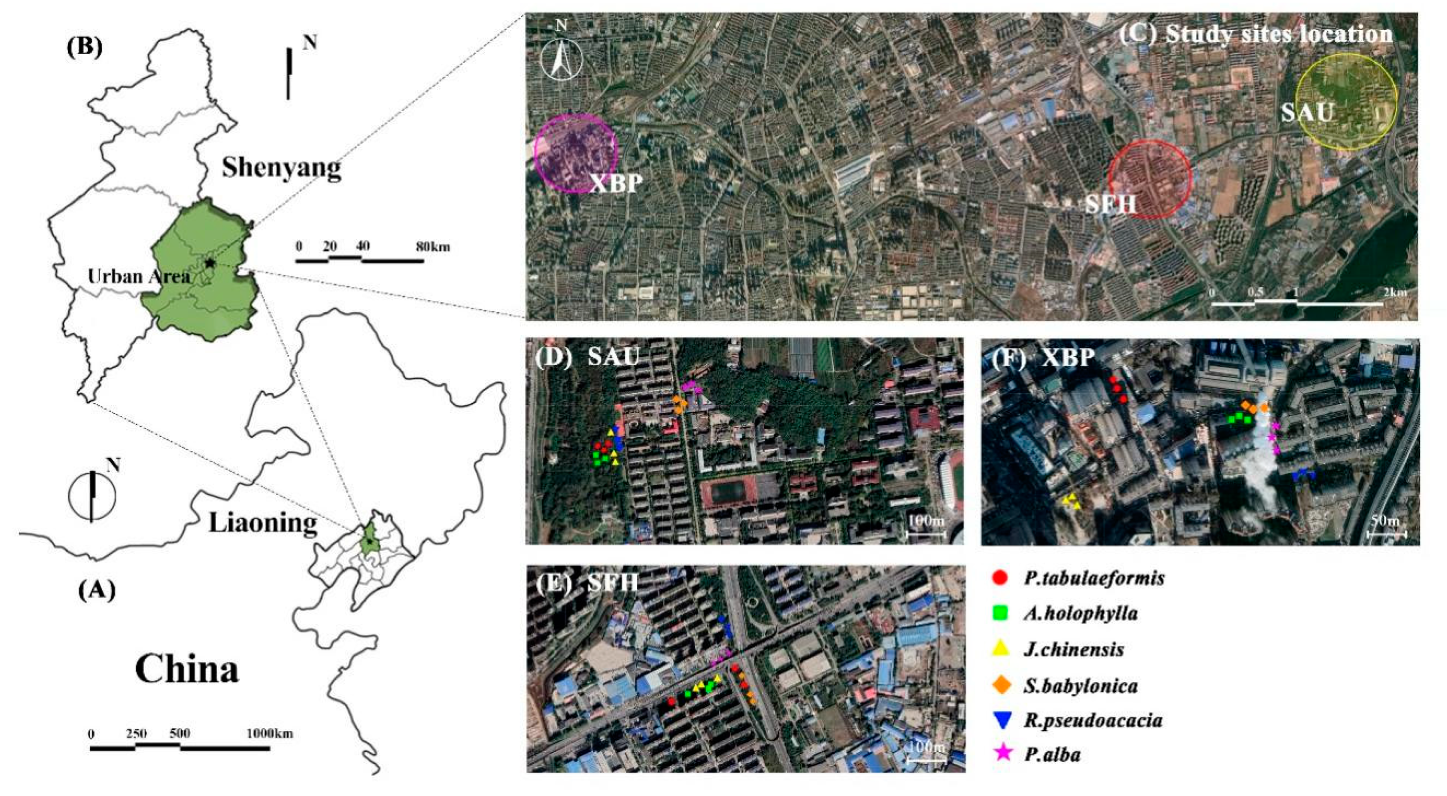 Sustainability 15 14744 g001
