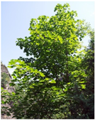 Sustainability 15 14905 i002 Sustainability 15 14905 i002