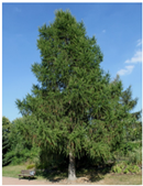 Sustainability 15 14905 i003 Sustainability 15 14905 i003