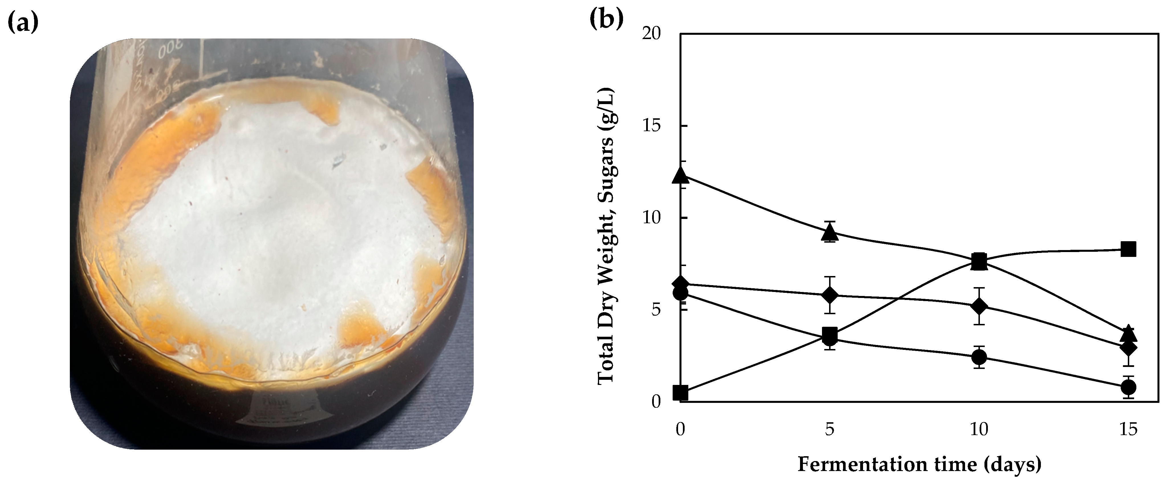 Sustainability 15 15080 g002