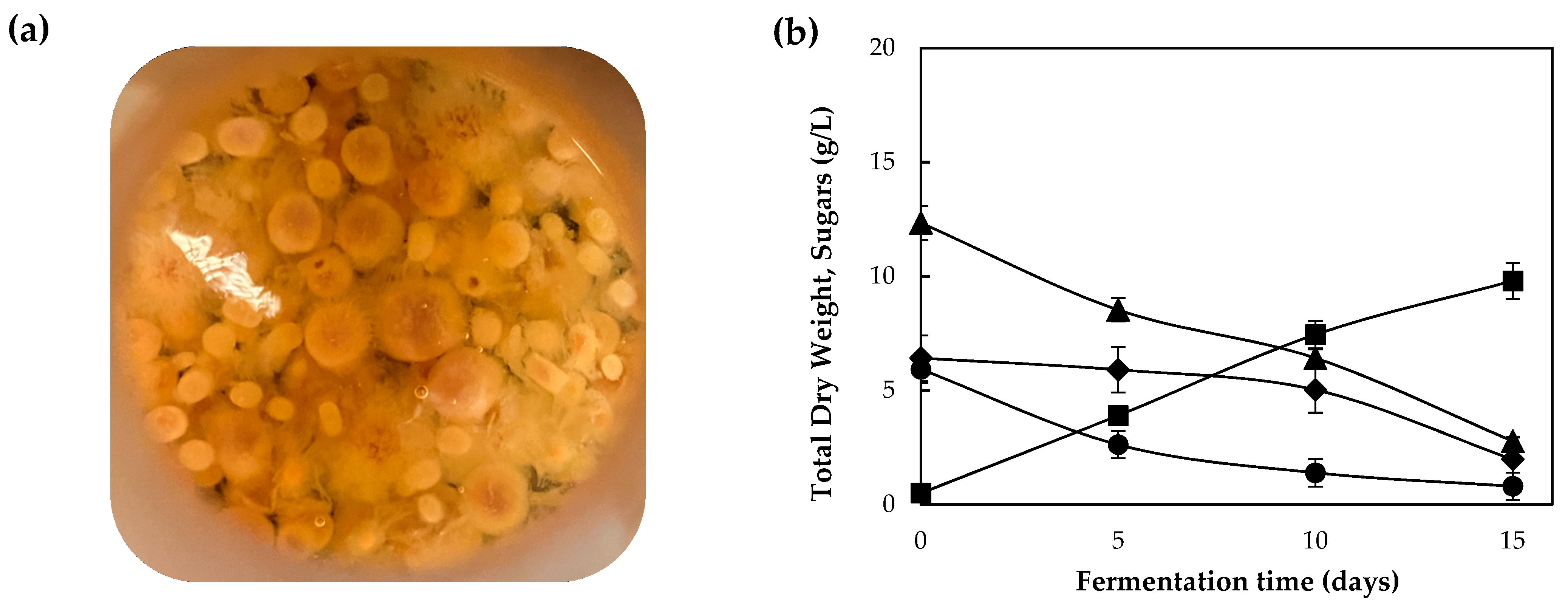 Sustainability 15 15080 g003