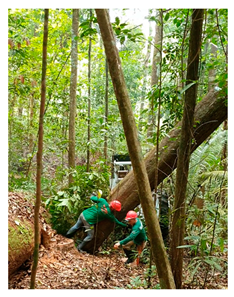 Sustainability 15 15147 i007 Sustainability 15 15147 i007