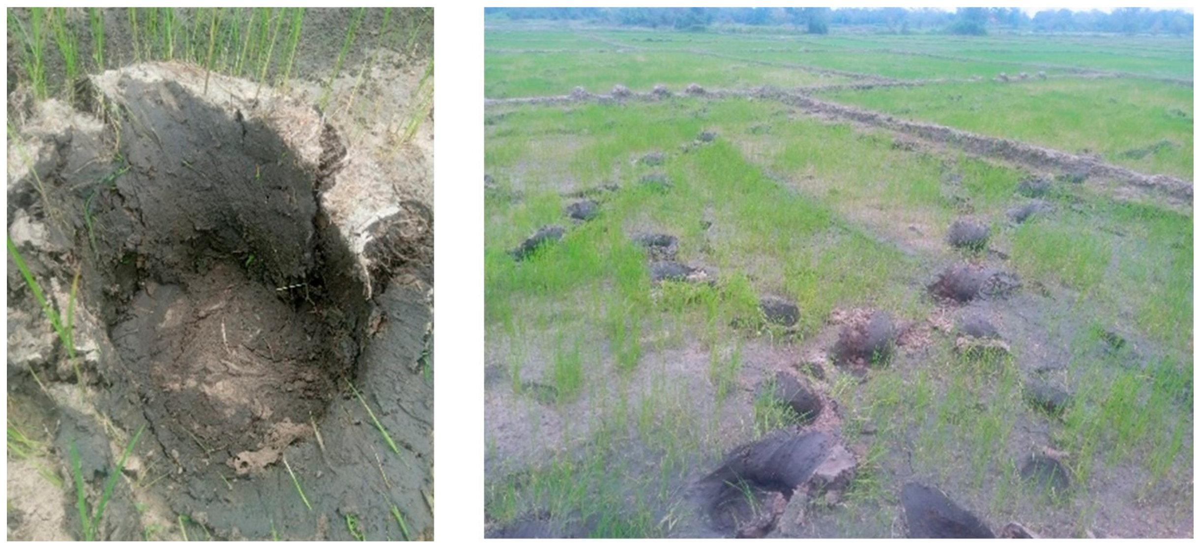 Sustainability 15 15168 g002 Sustainability 15 15168 g002