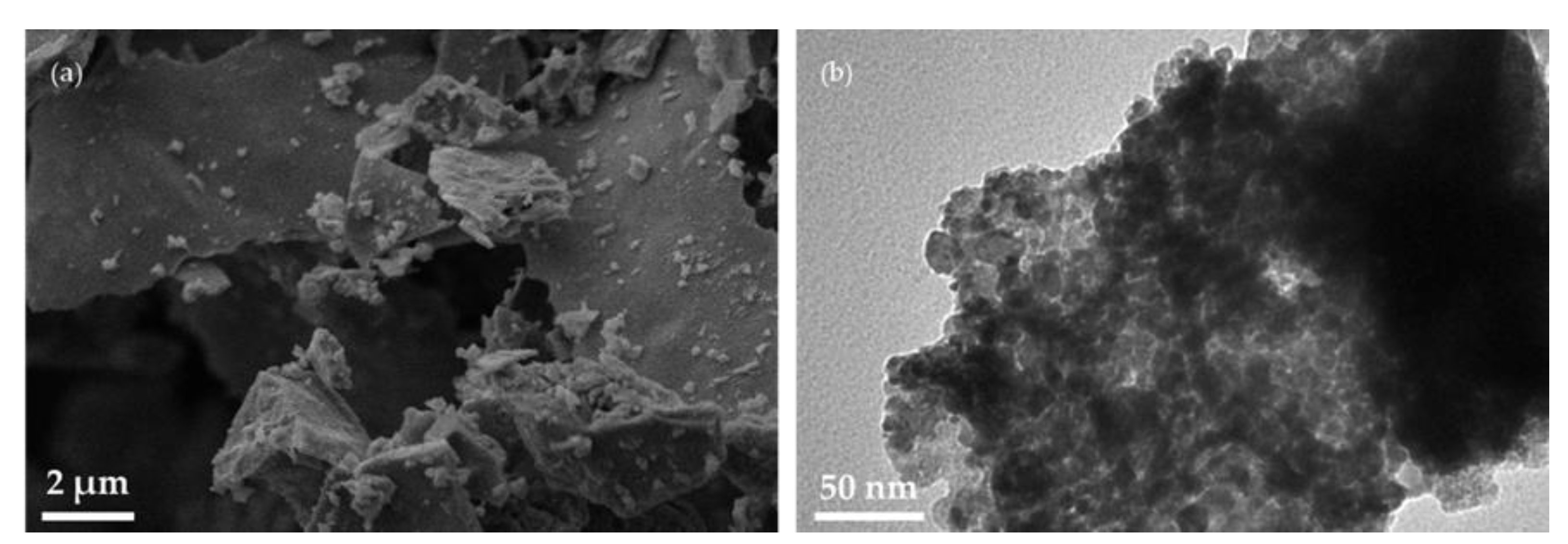 Sustainability 15 15183 g003