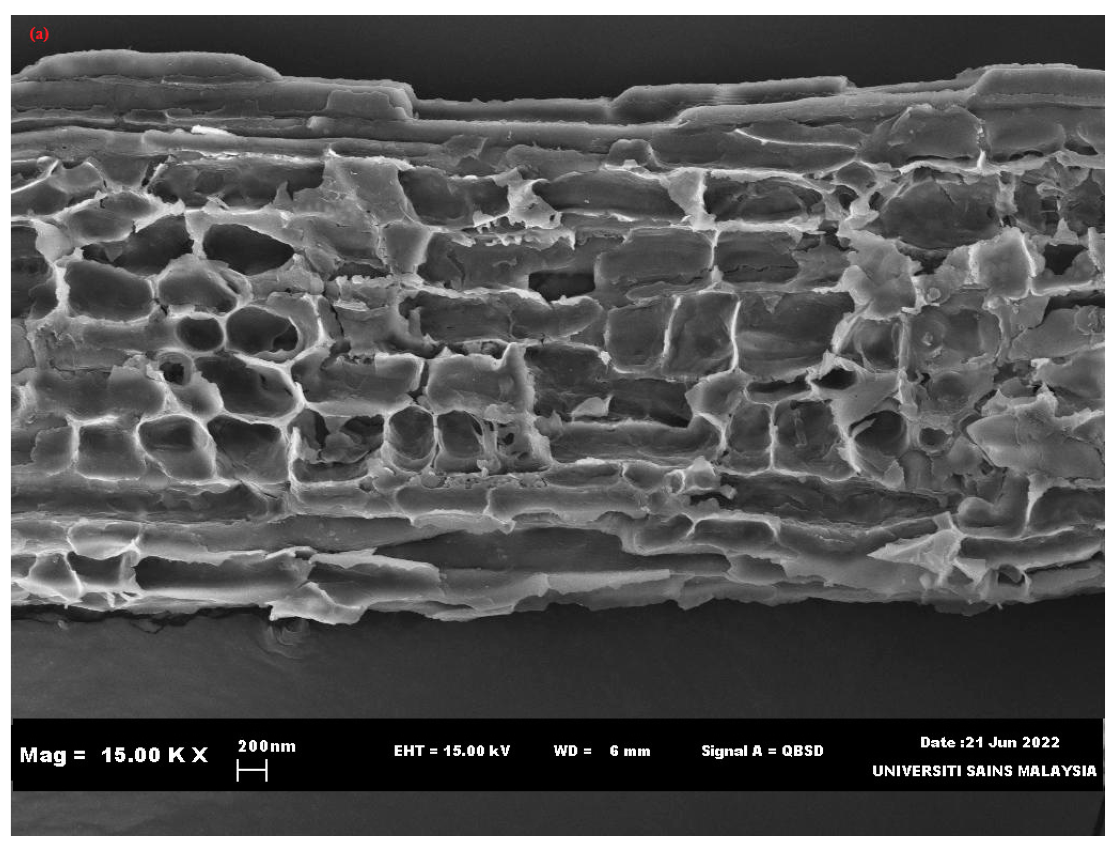 Sustainability 15 15266 g002a