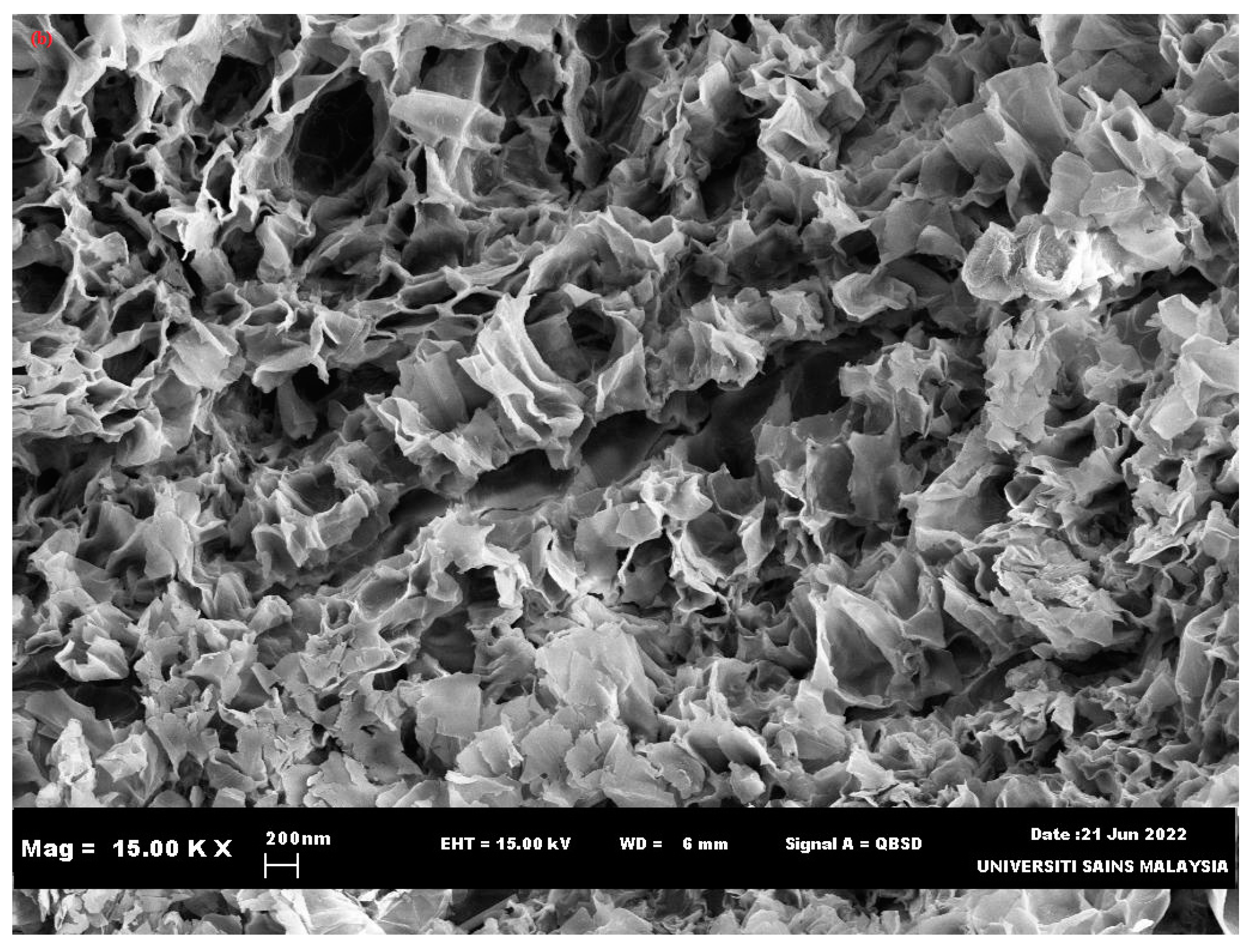 Sustainability 15 15266 g002b