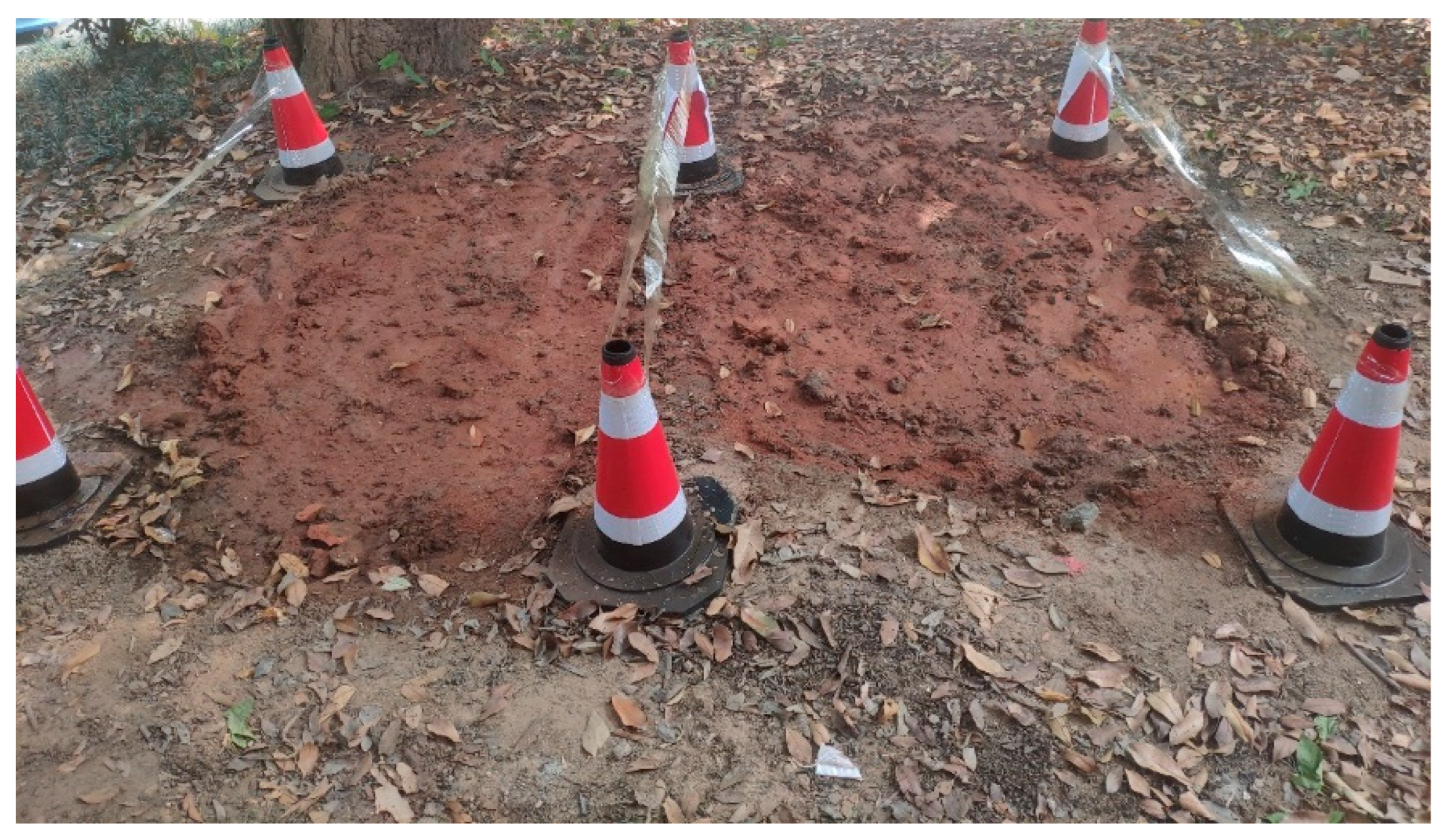 Sustainability 15 15284 g004