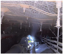 Sustainability 15 15415 i002